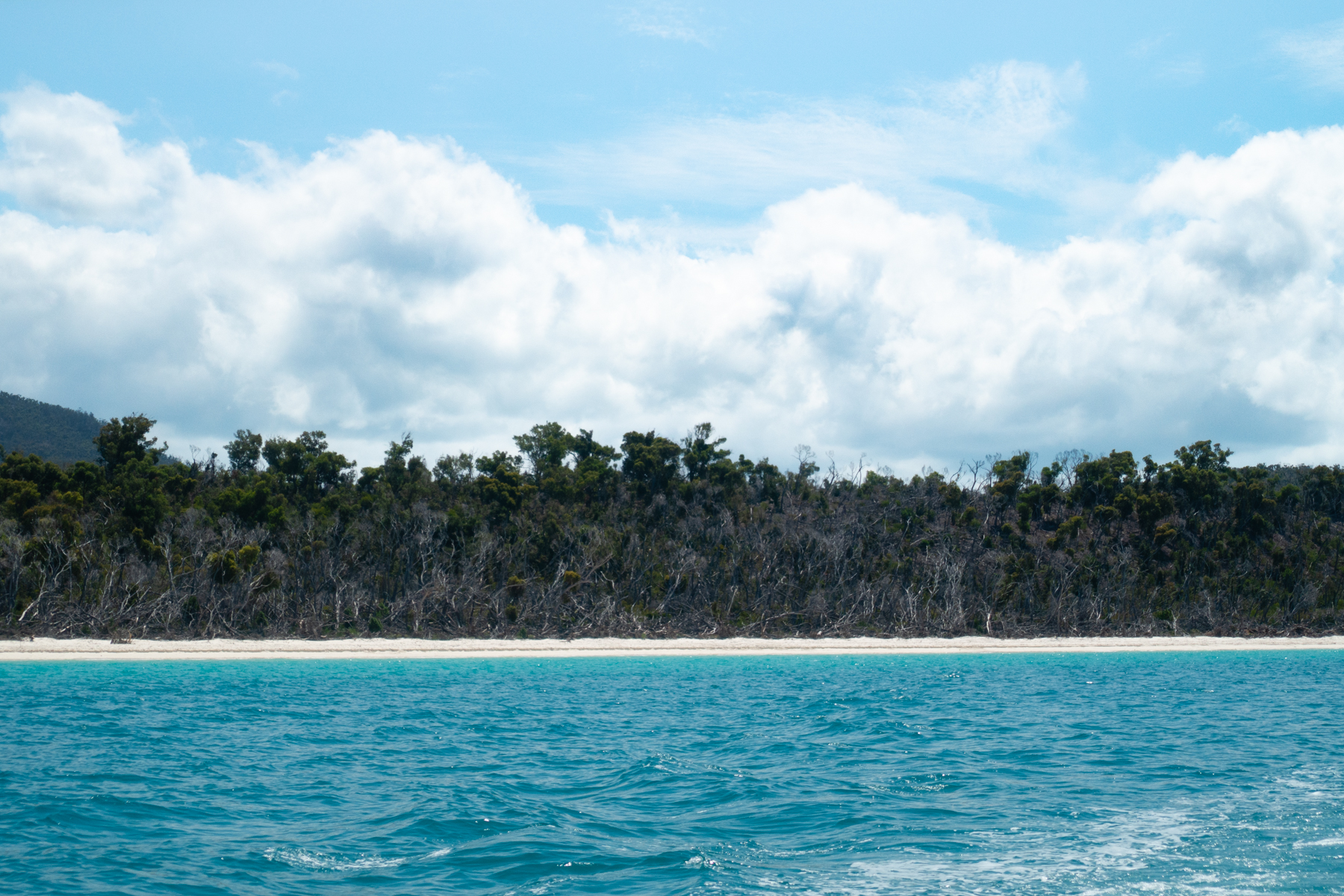 Whitehaven beach.