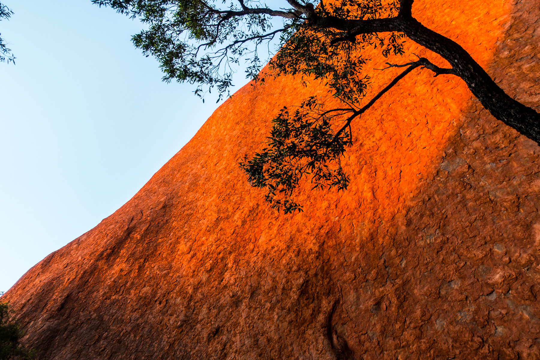 Beautiful afternoon colours at Uluru.