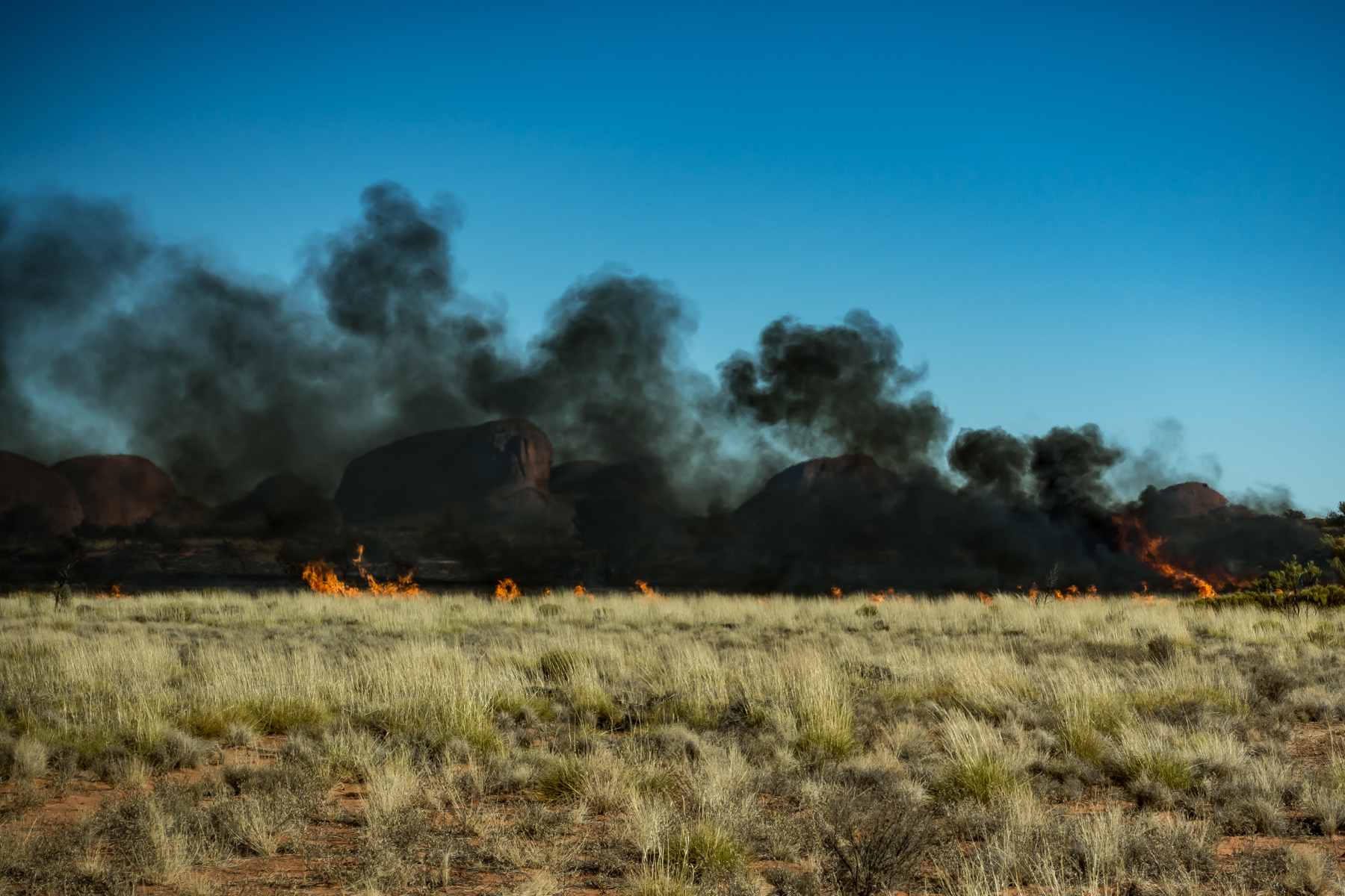 Grass fire with Kata Tjuta in the background.