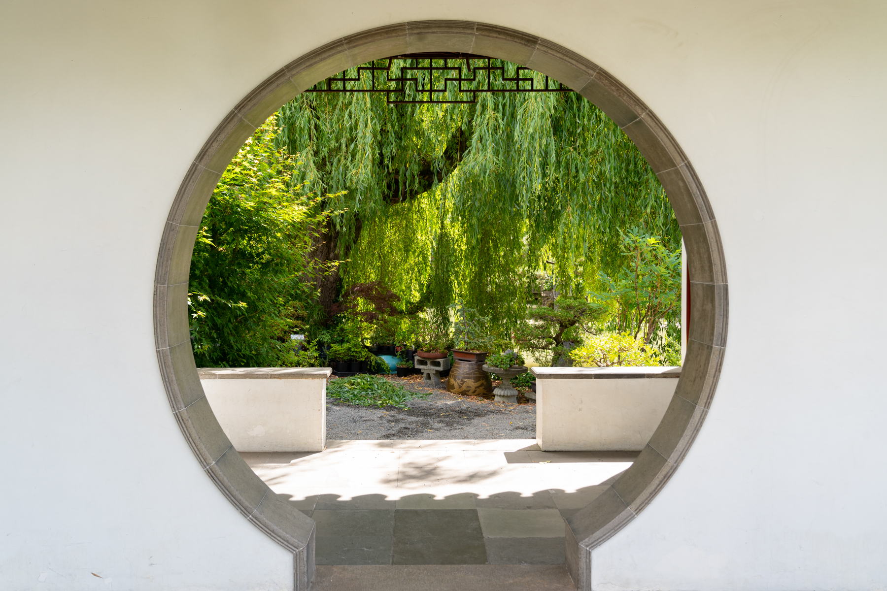 In the Sun Yat-Sen garden.