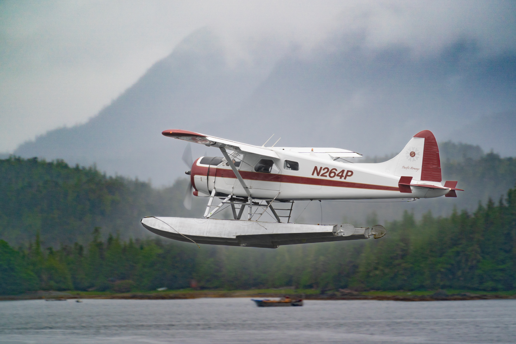A de Havilland Canada DHC-2 Beaver taking off.