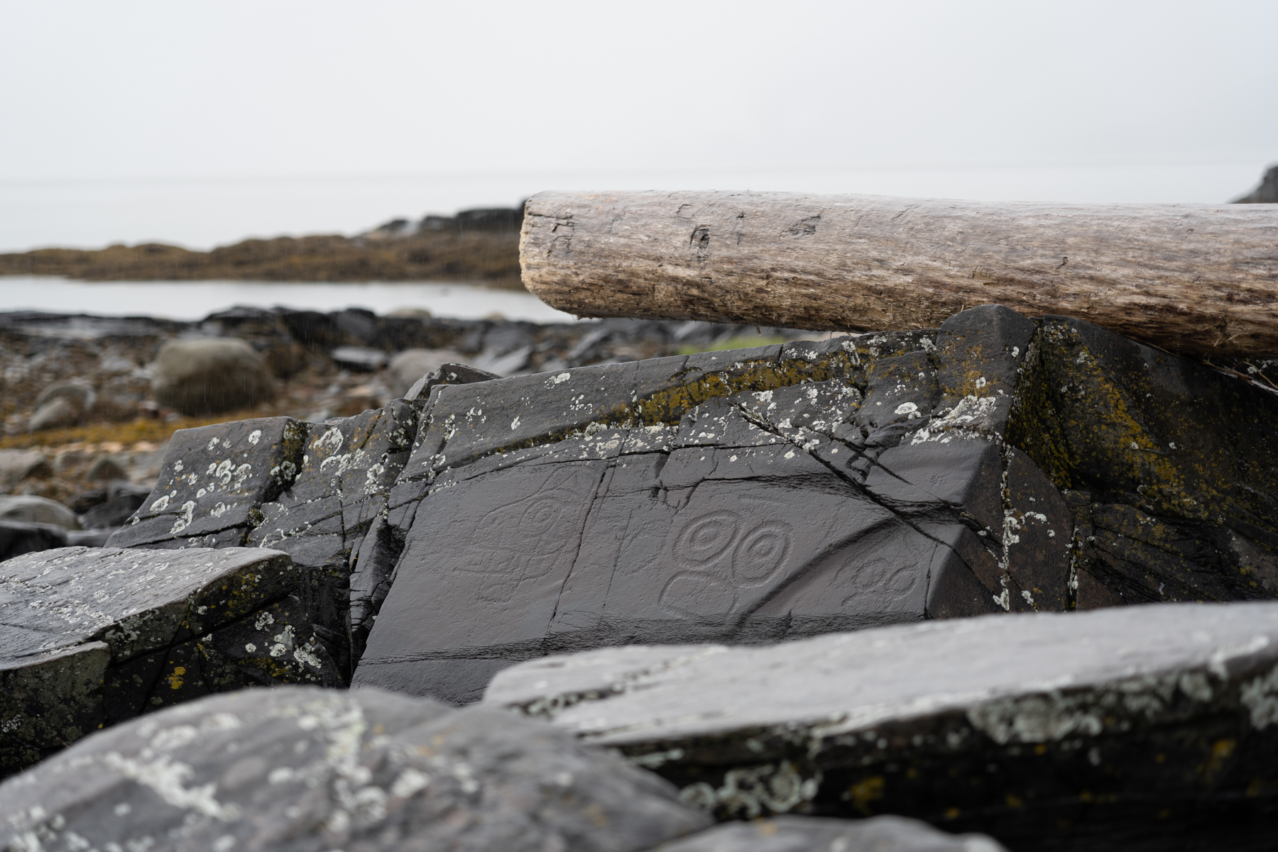 Petroglyphs in the Petroglyph Beach State Historic Park.