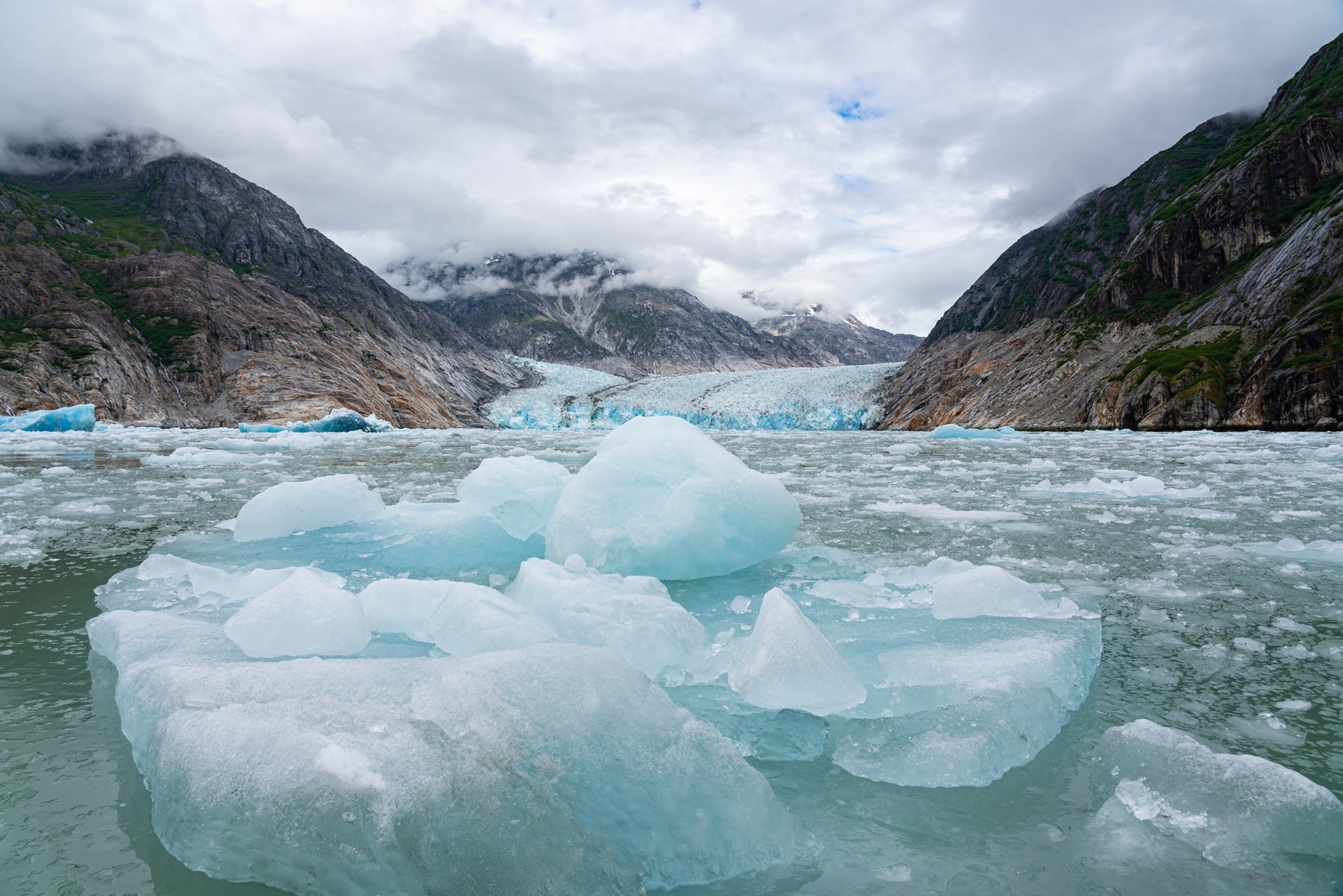 Floating ice near the Dawes Glacier.