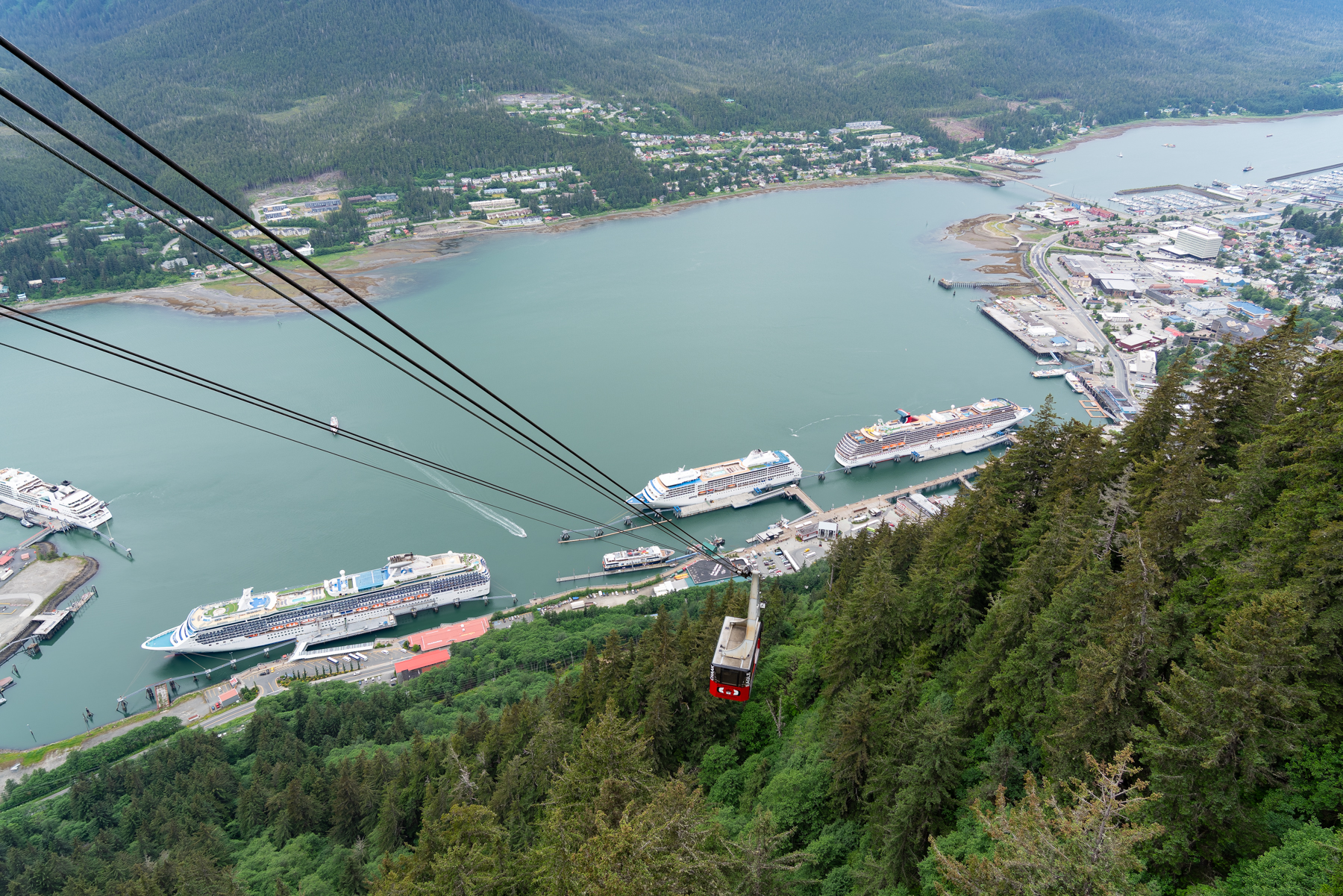 View from the top of Mount Roberts in Juneau.