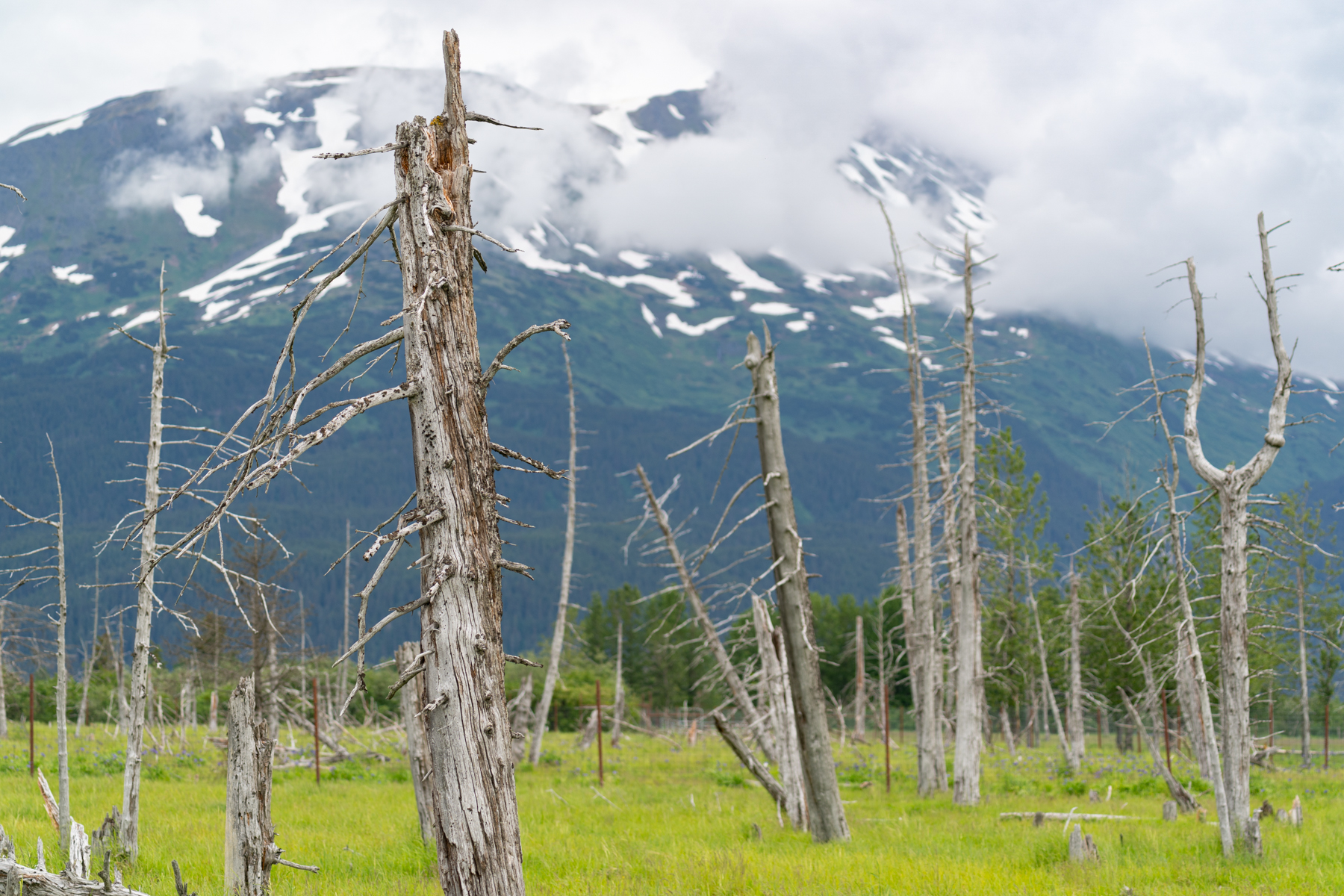 Travel day to Whistler