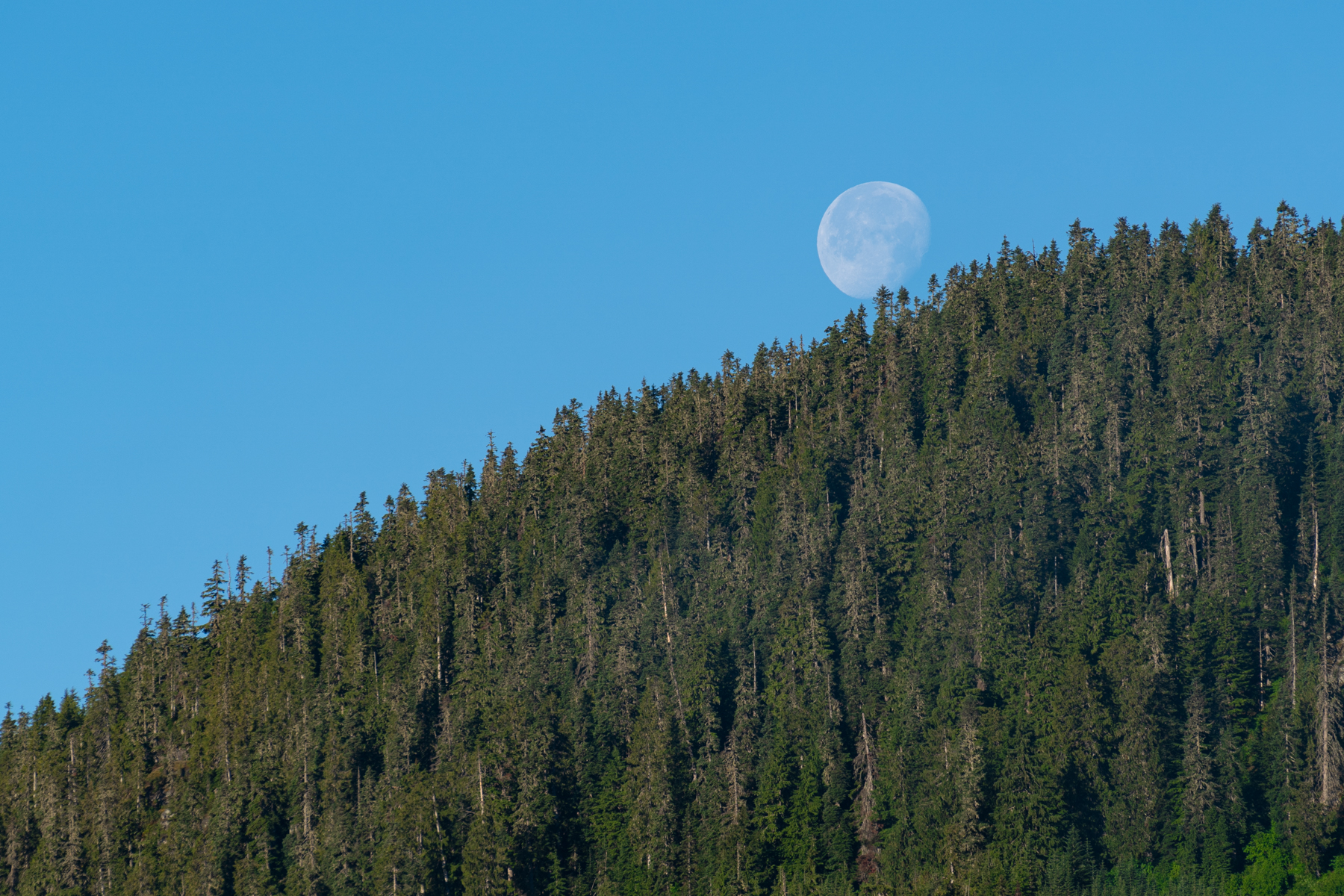 Early morning moon in Whistler.