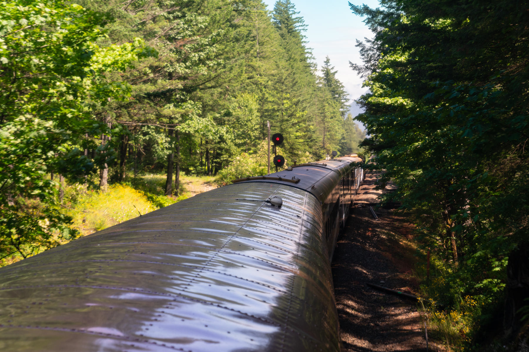 Heading through the trees in the Rocky Mountaineer.