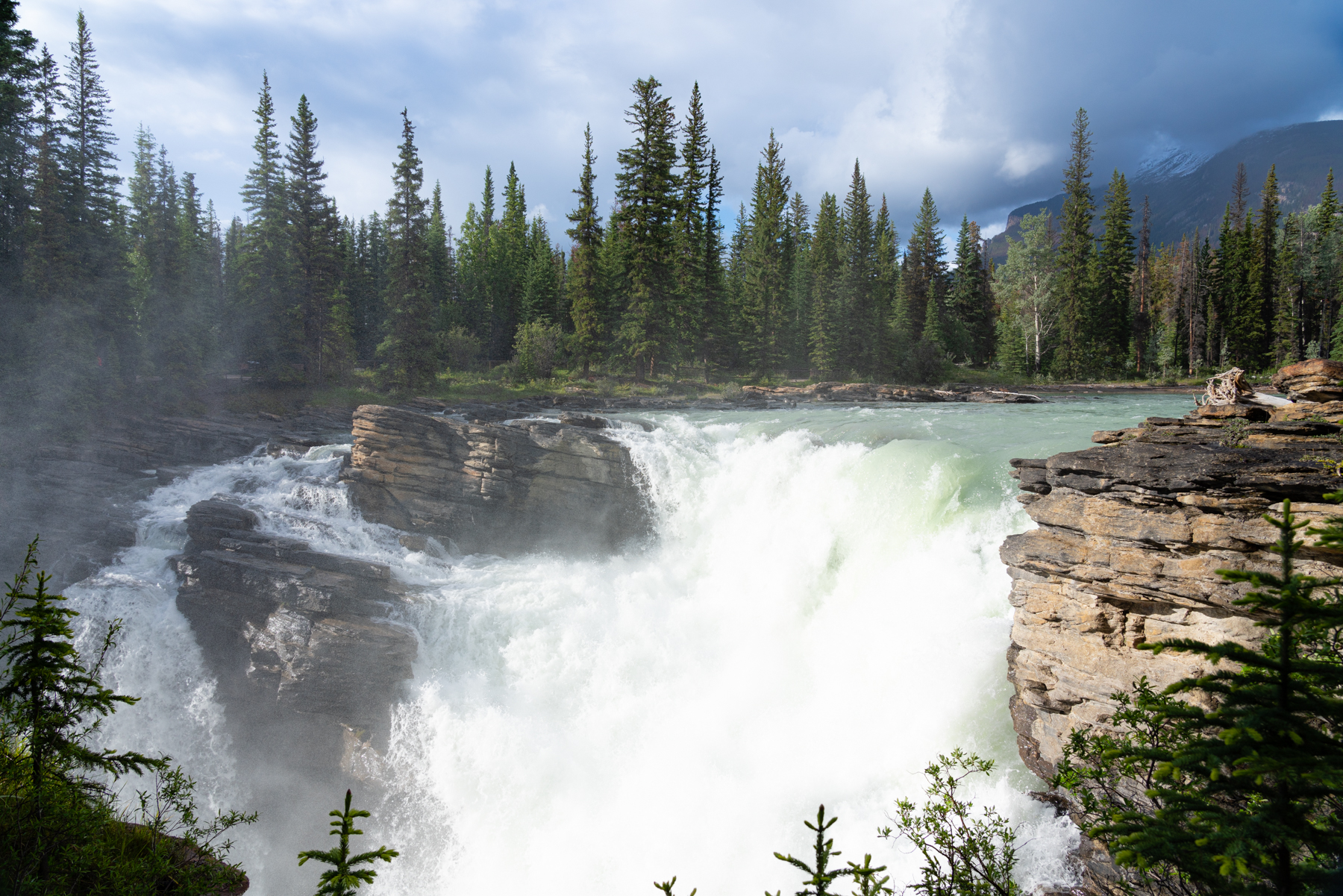 Athabasca Falls.