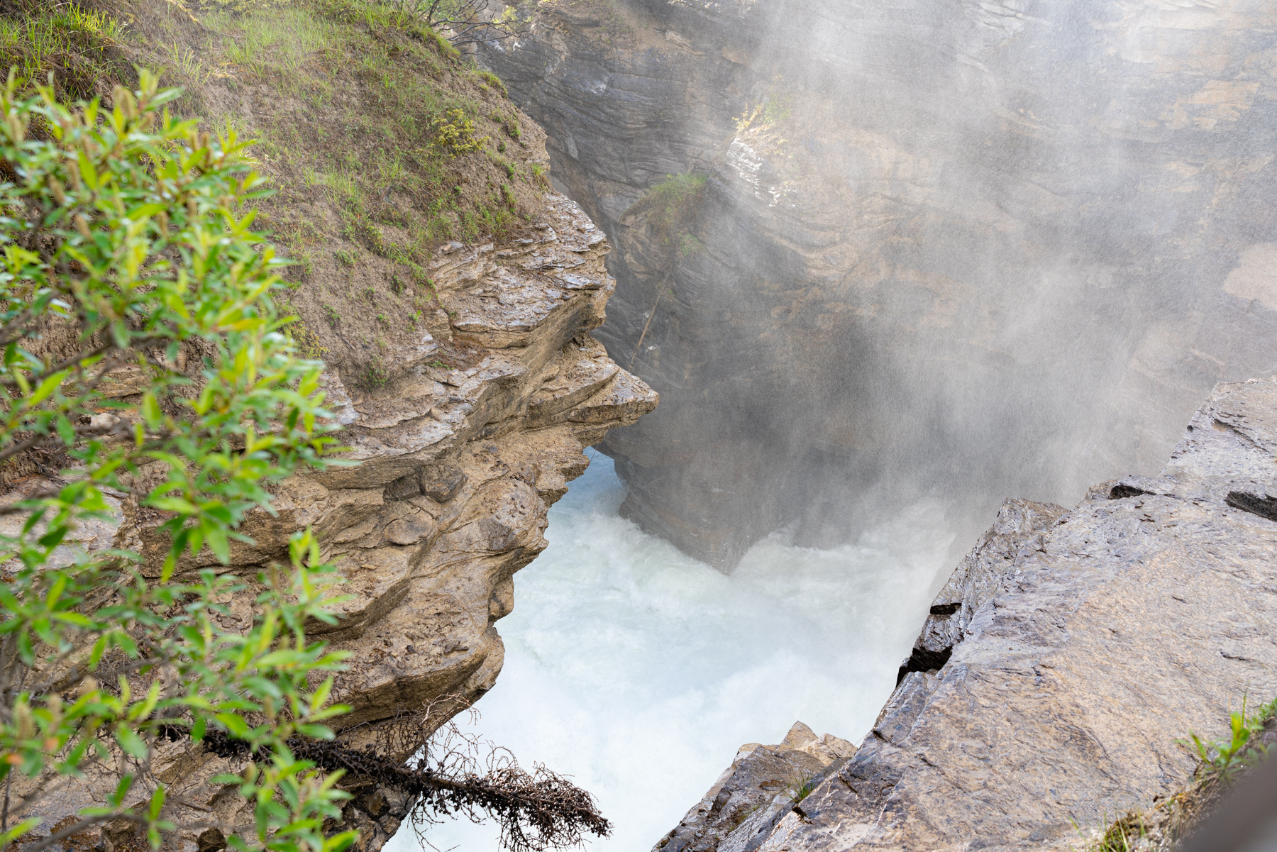 Athabasca Falls.