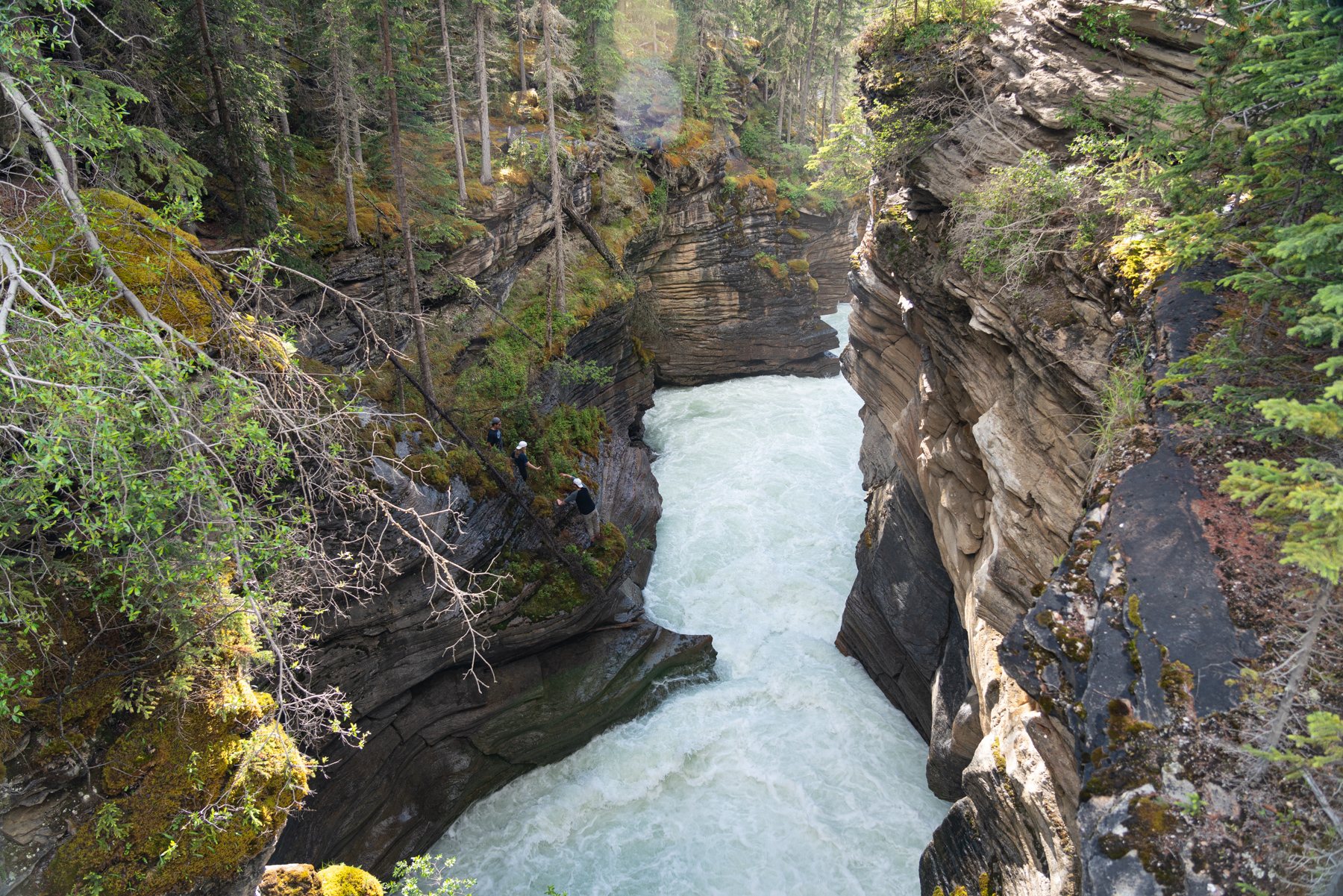 Insane tourists climbing down to the chute at Athabasca Falls.