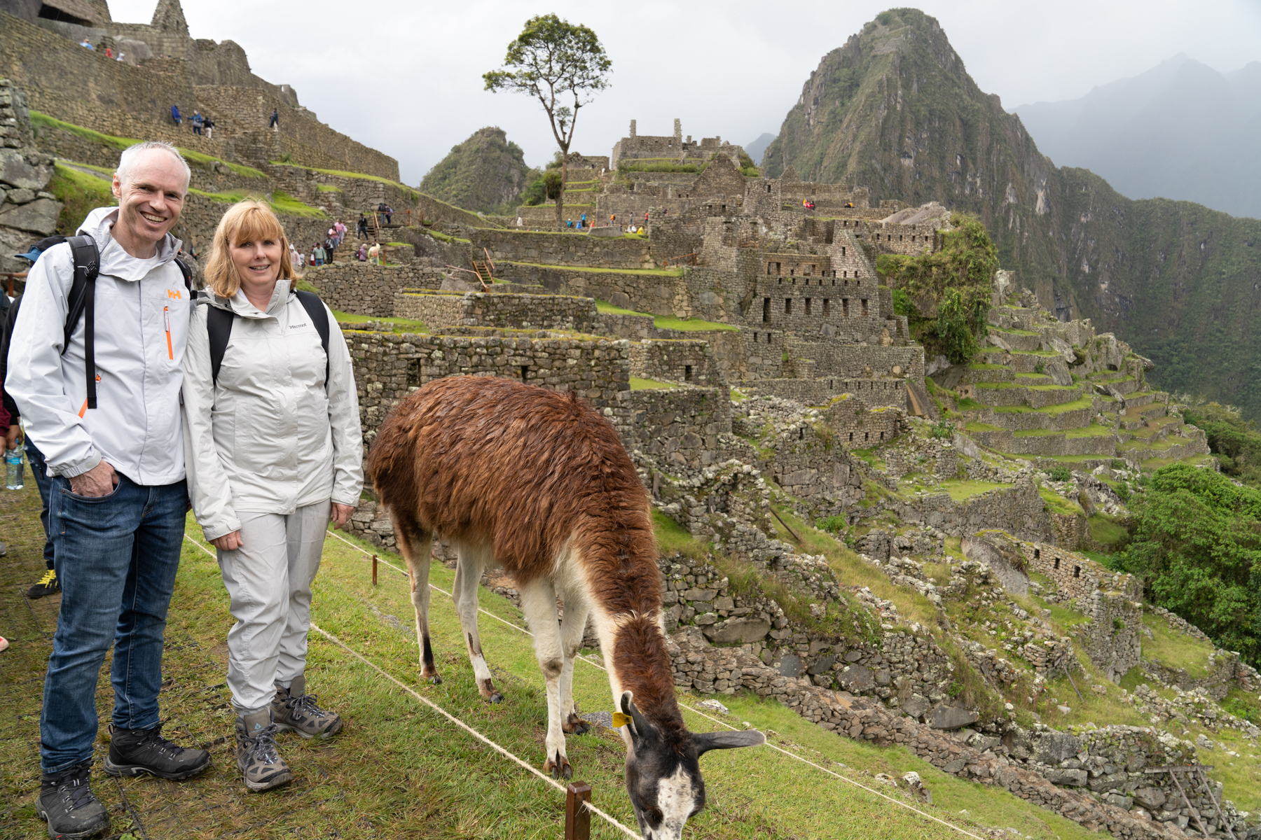 And the other locals!