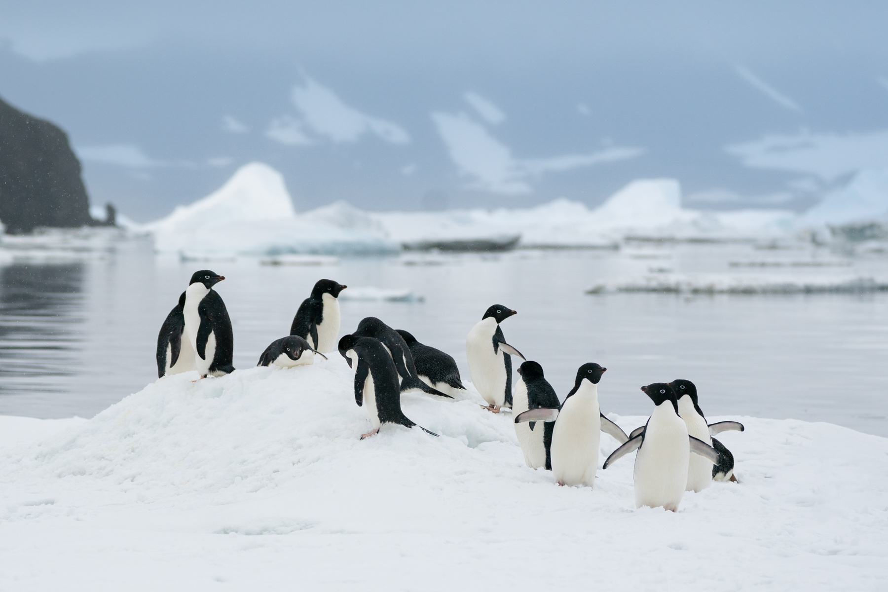 Brown Bluff and Devil Island