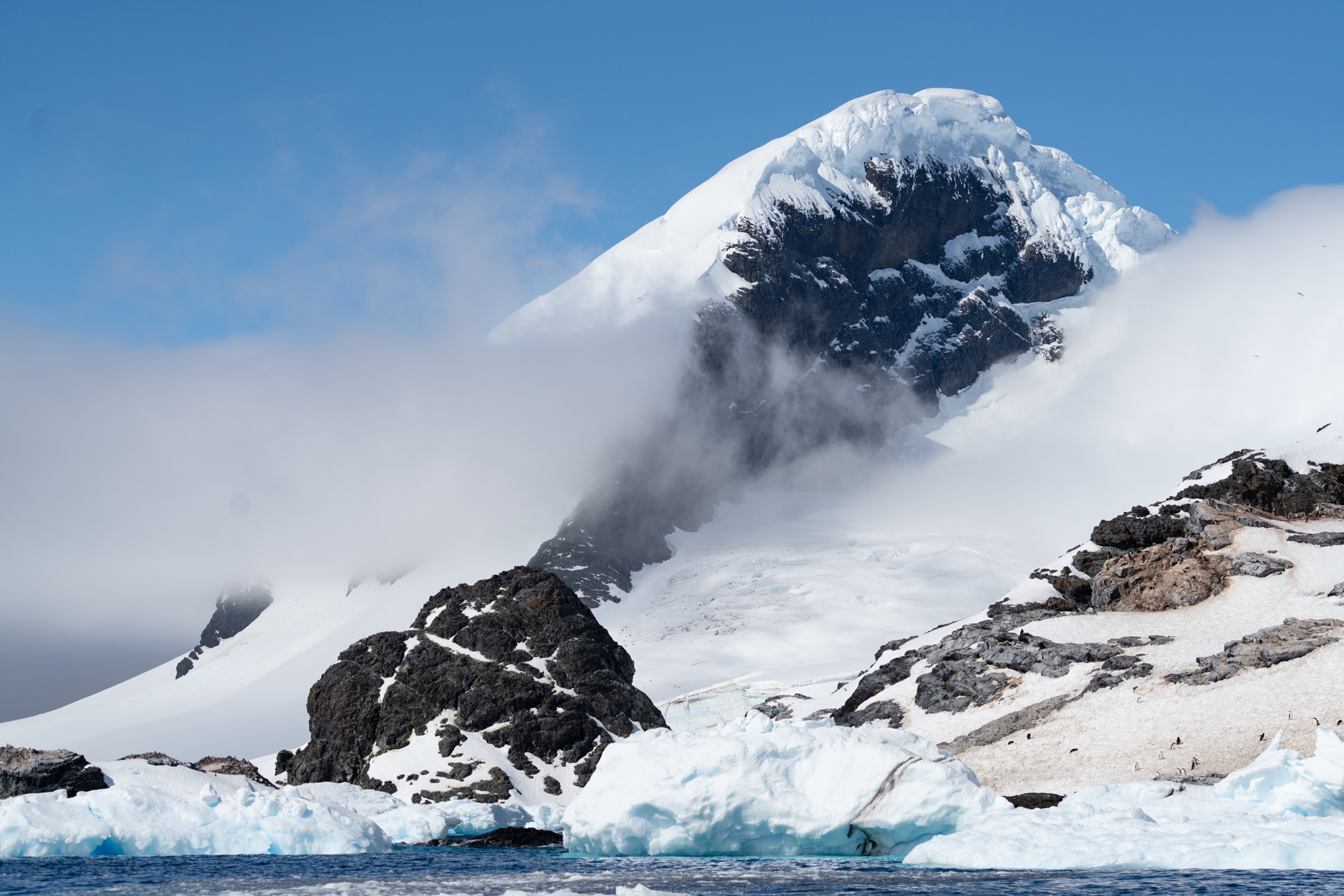 Astrolabe Island and Charcot Bay