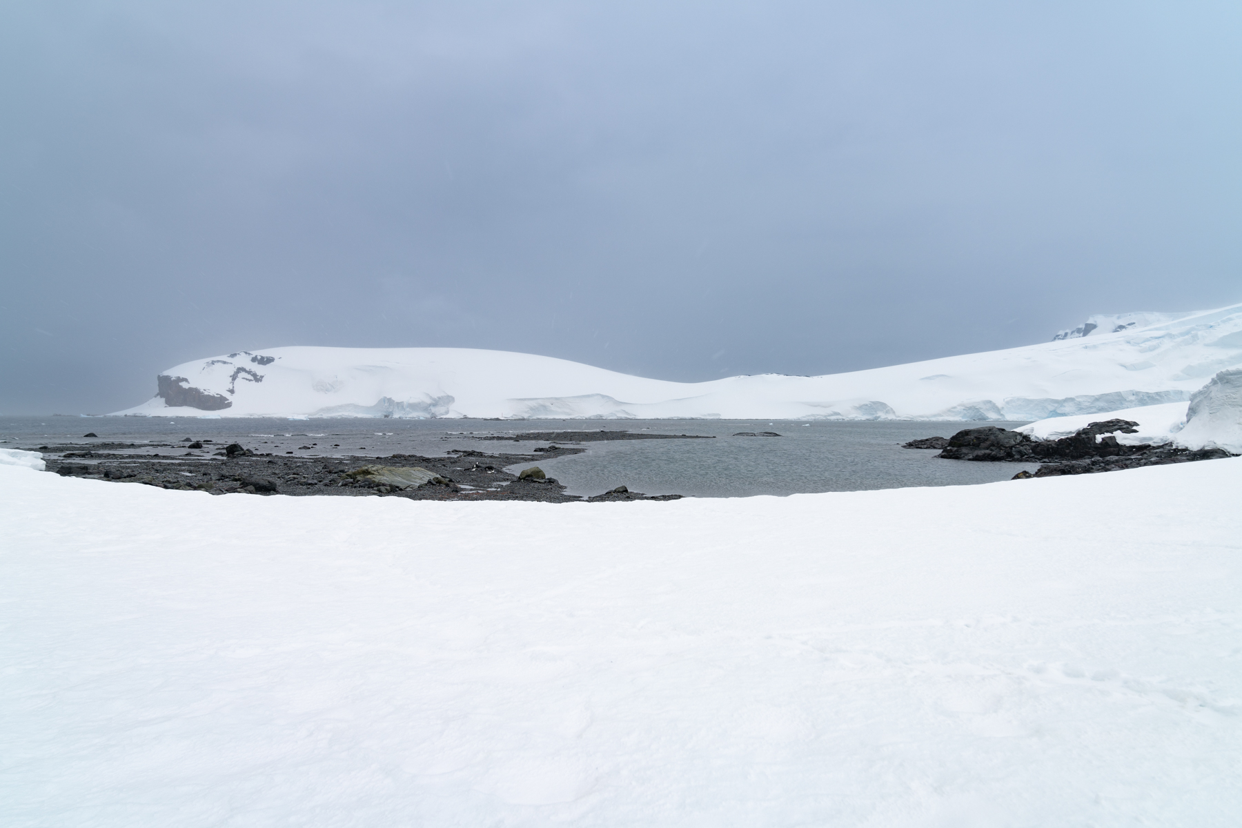 Spert Island and Mikkelson Harbour
