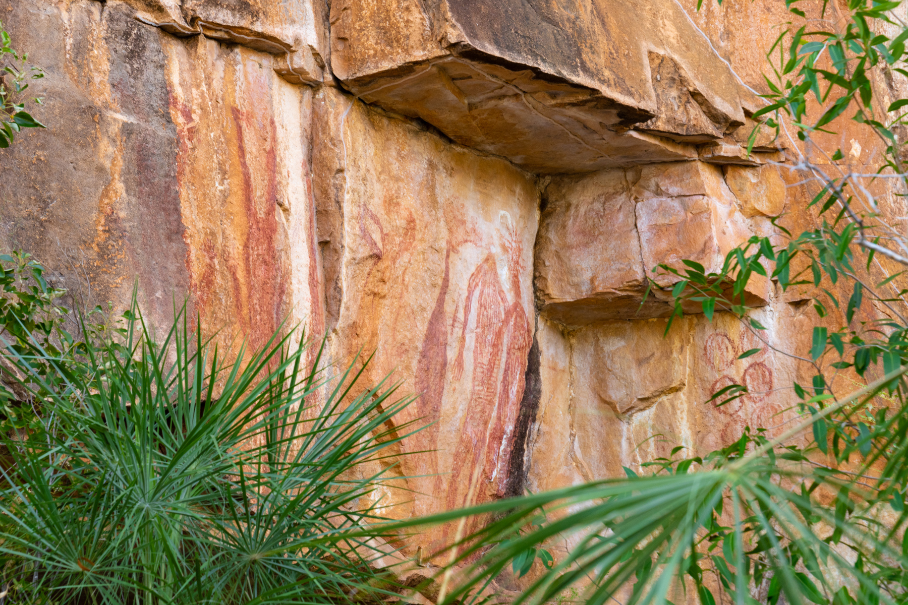 Artwork dating back 40,000 years!