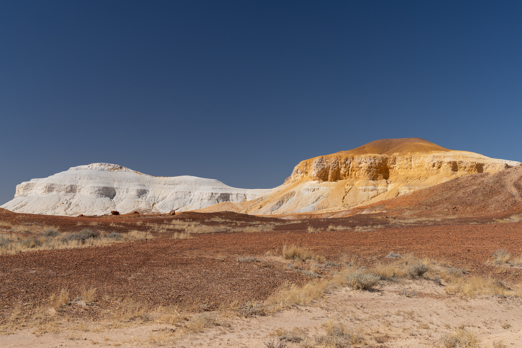 The "two dogs" or "salt and pepper" rock formation.