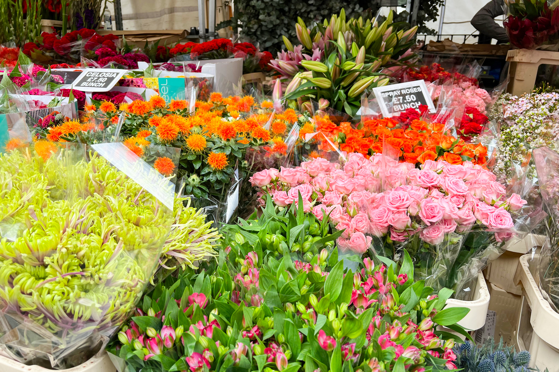 Flower market and ABBA Voyage