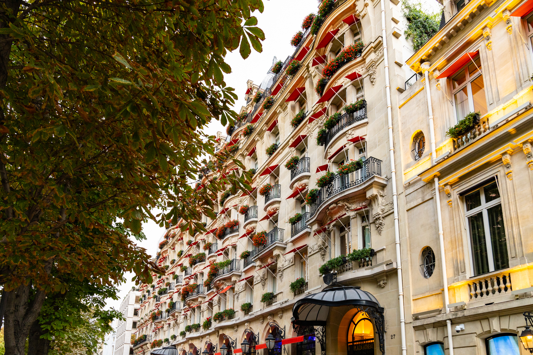 The Hôtel Plaza Athénée.