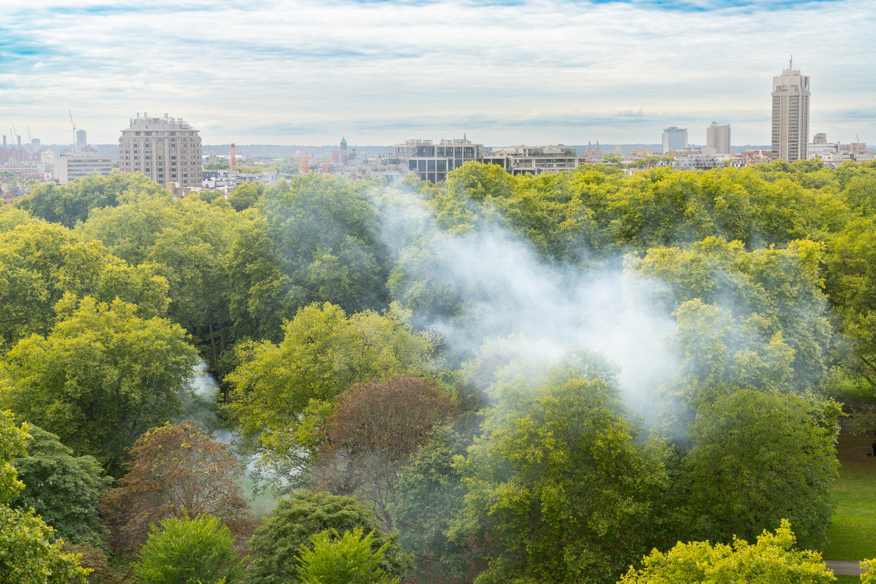The canons firing in Hyde Park.