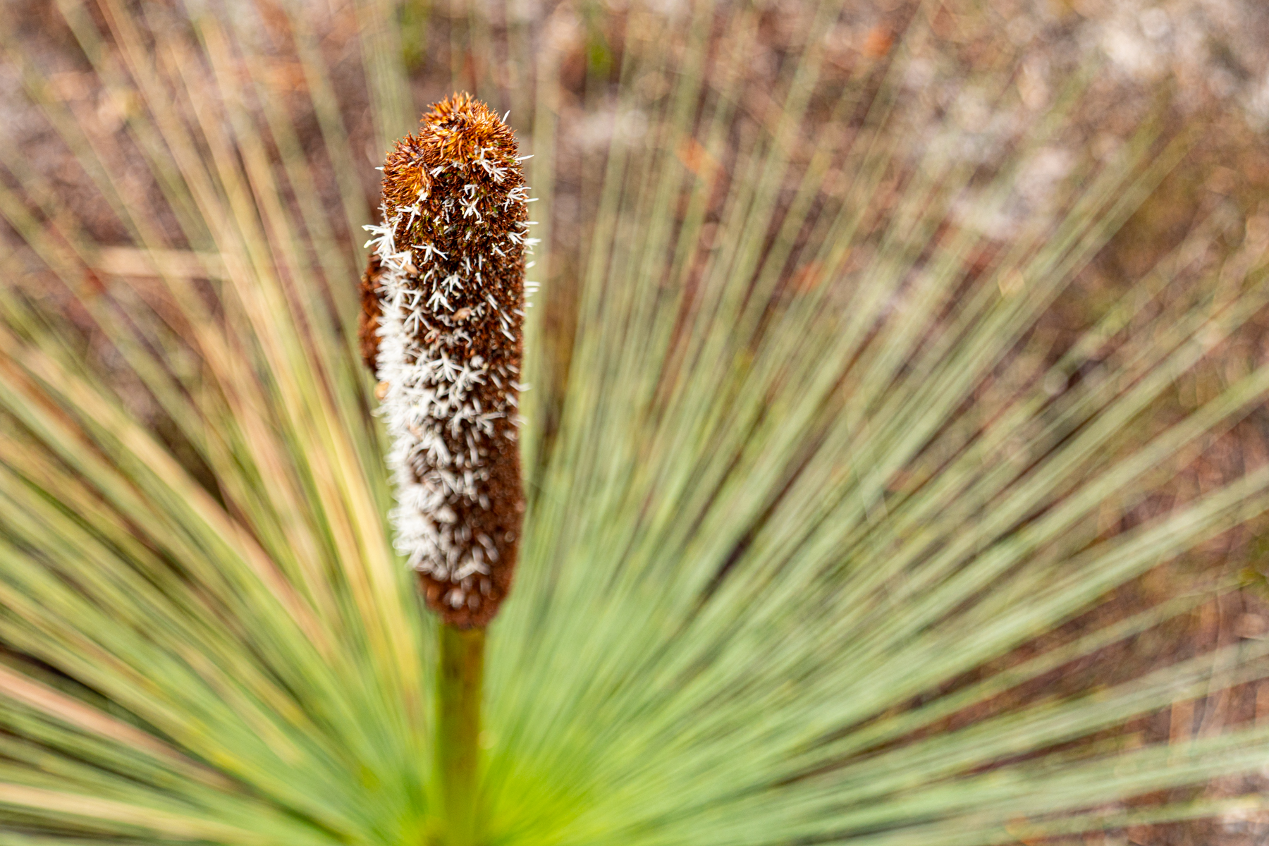 Another busy day in Freycinet