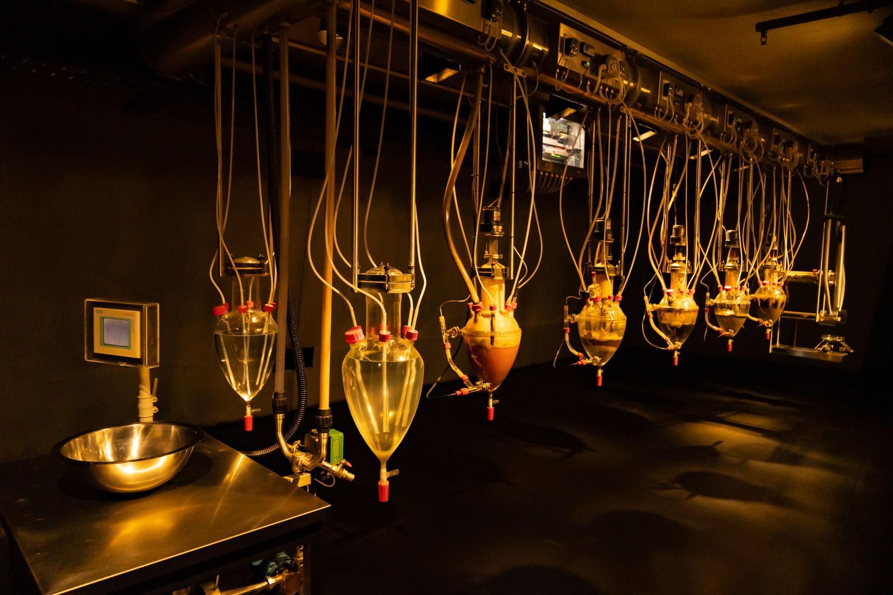 Weird and wonderful exhibits at Mona!