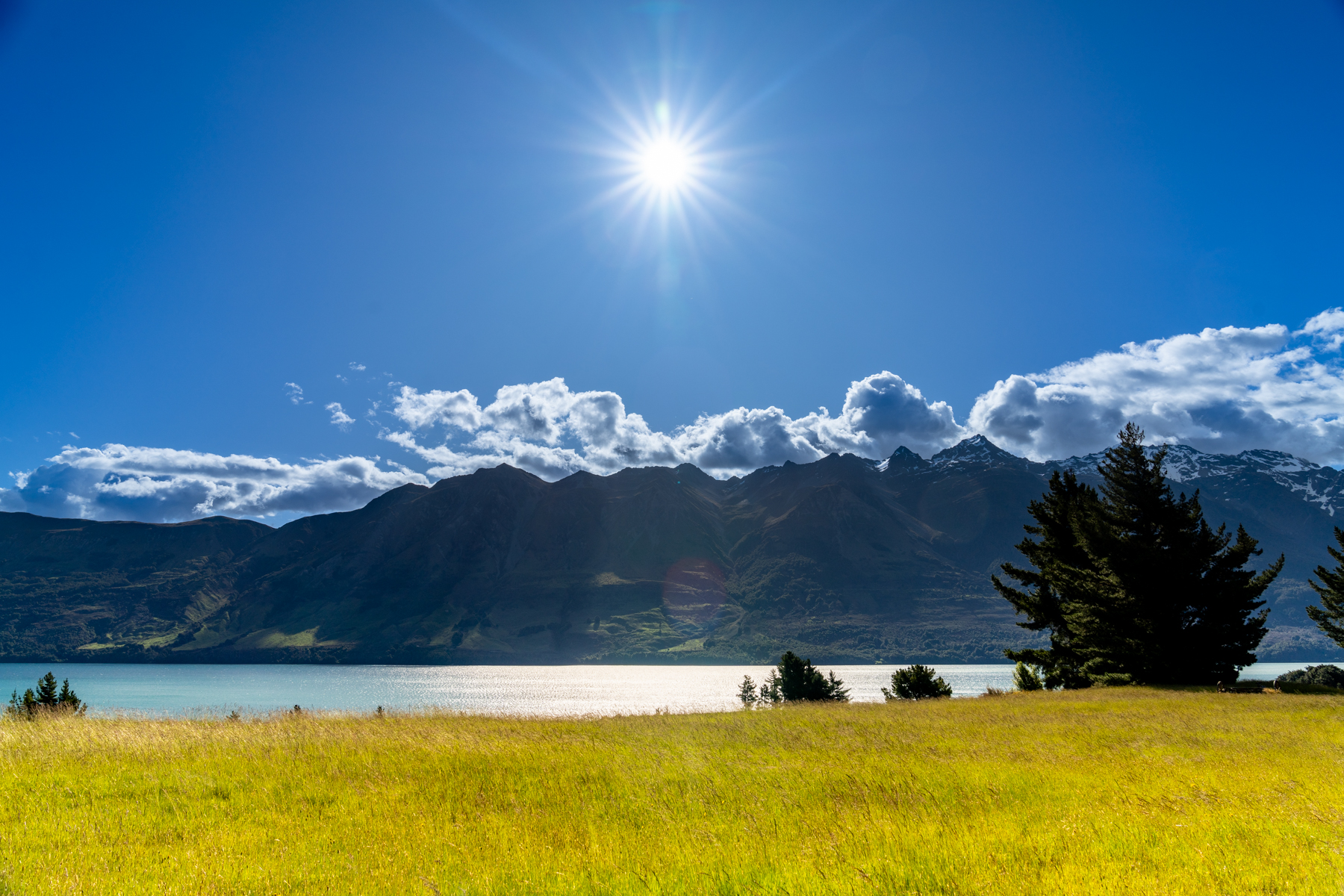 trips/2022-12-new-zealand/