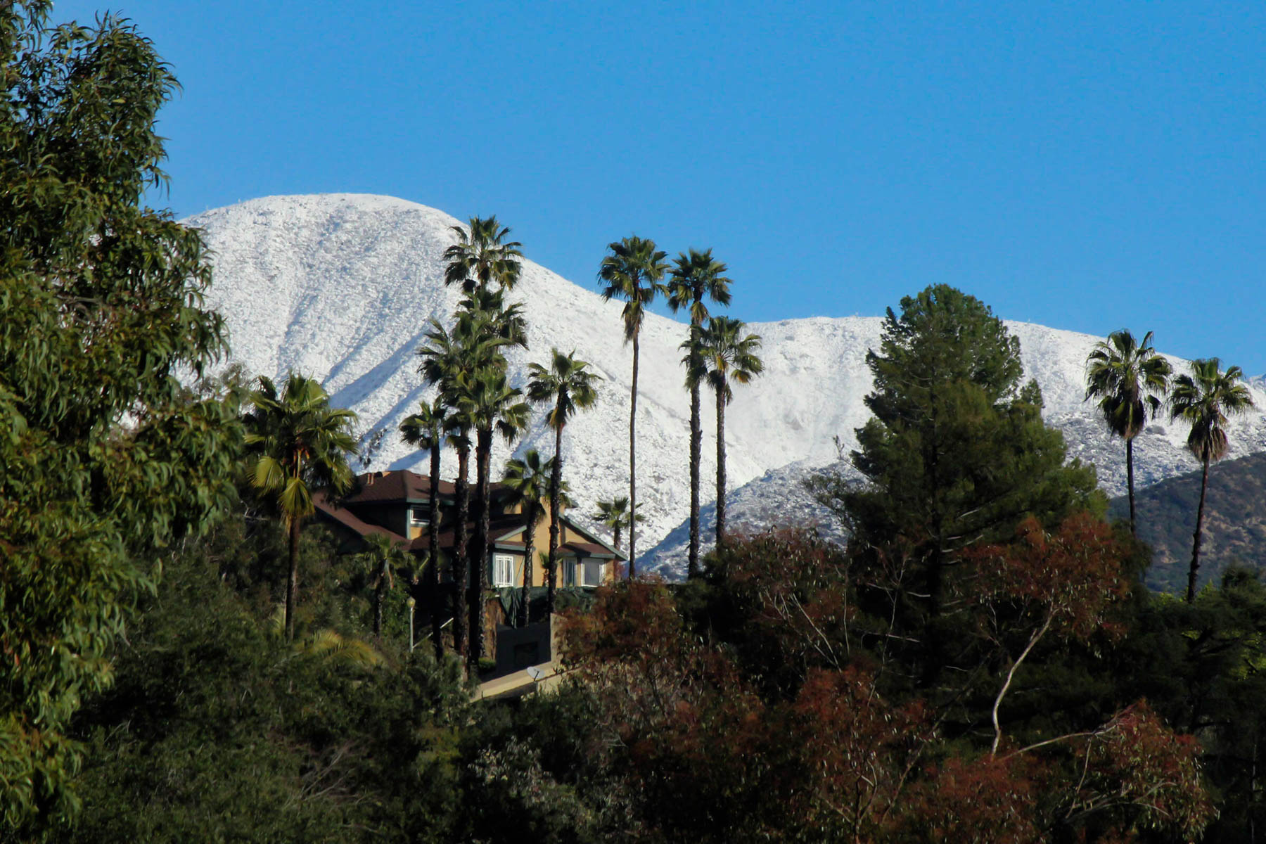 Snow in Los Angeles (John Antczak/AP).