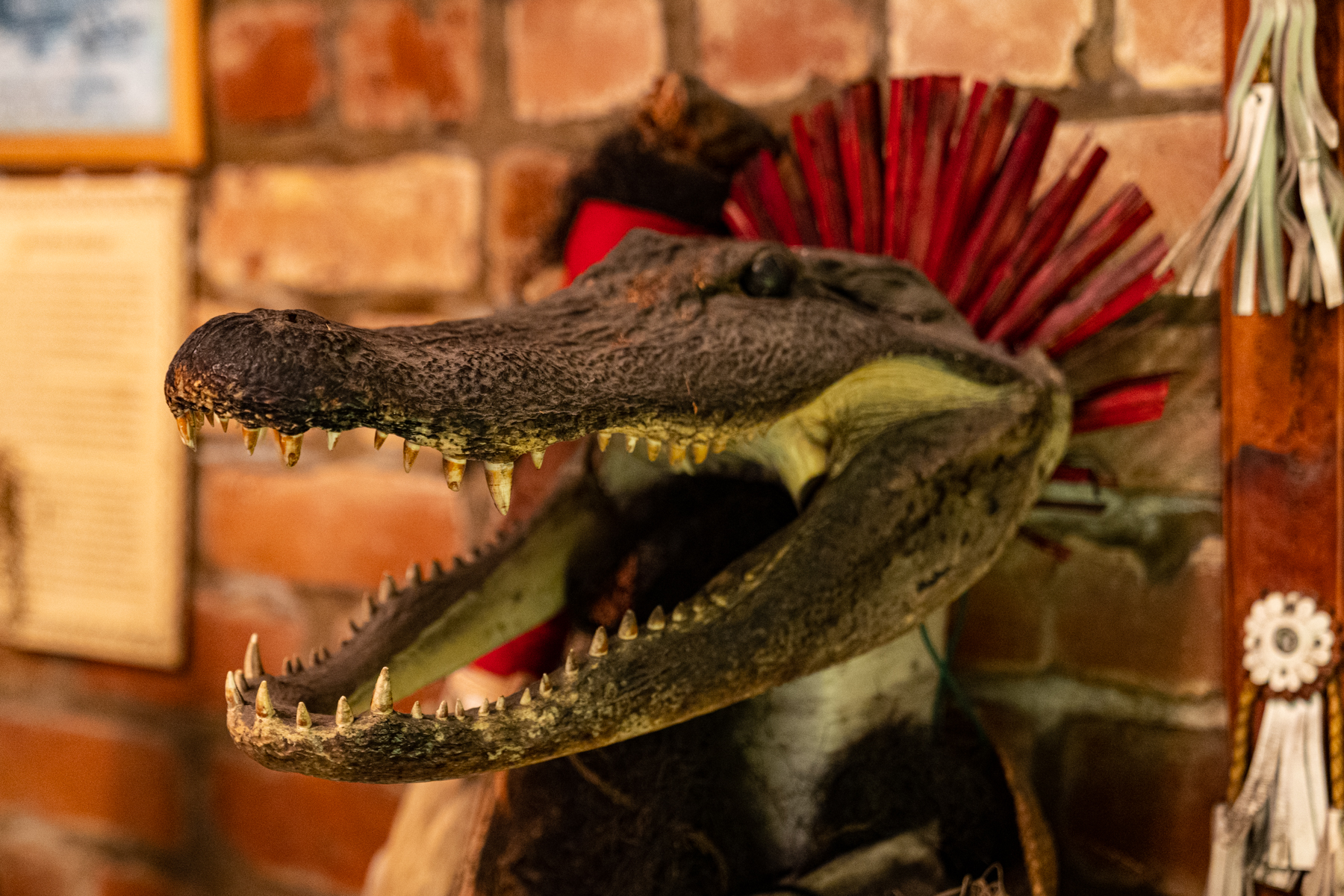 Exhibit in the New Orleans Historic Voodoo Museum.