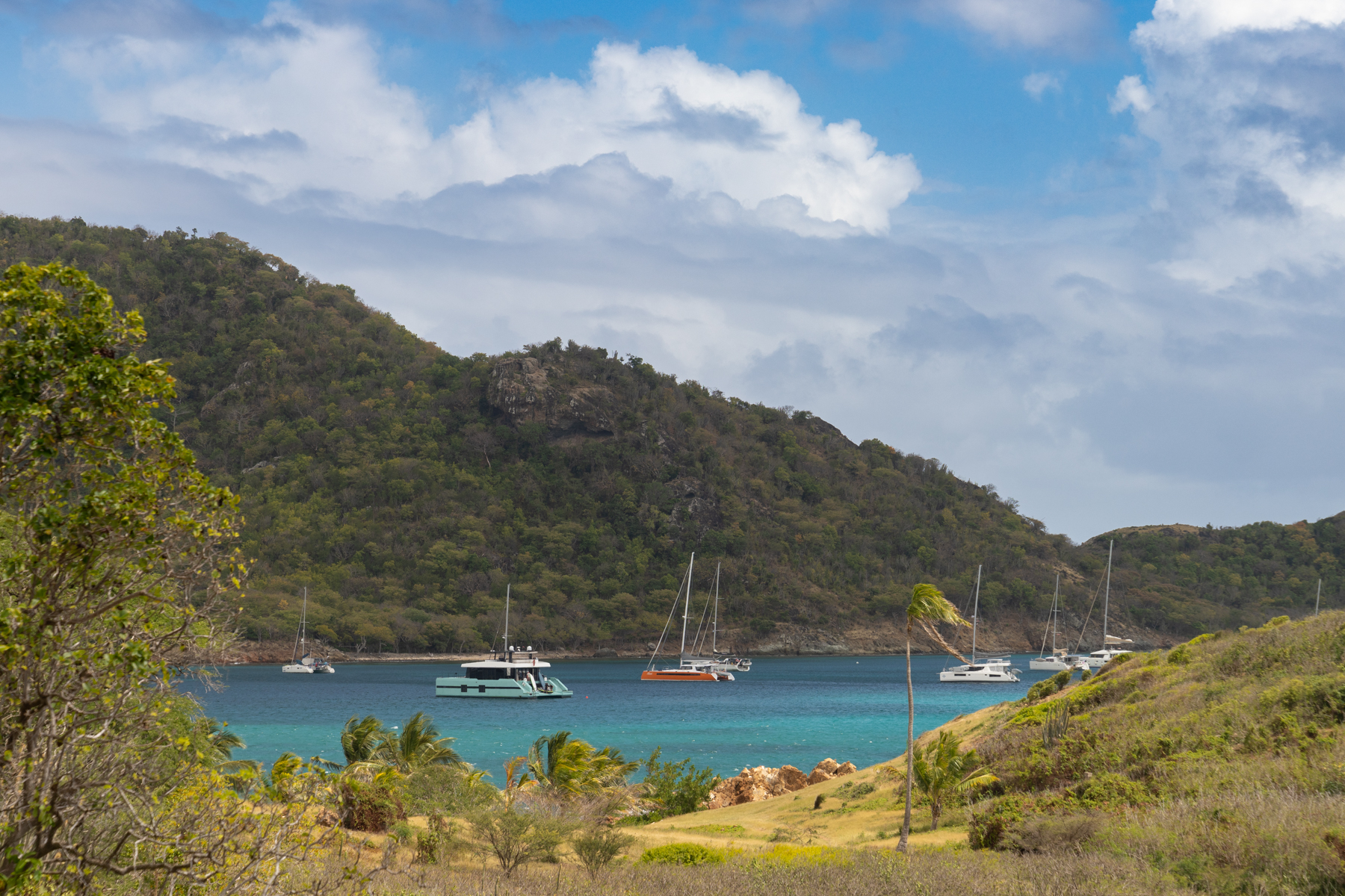 Looking across to Carlisle Bay from Old Road.