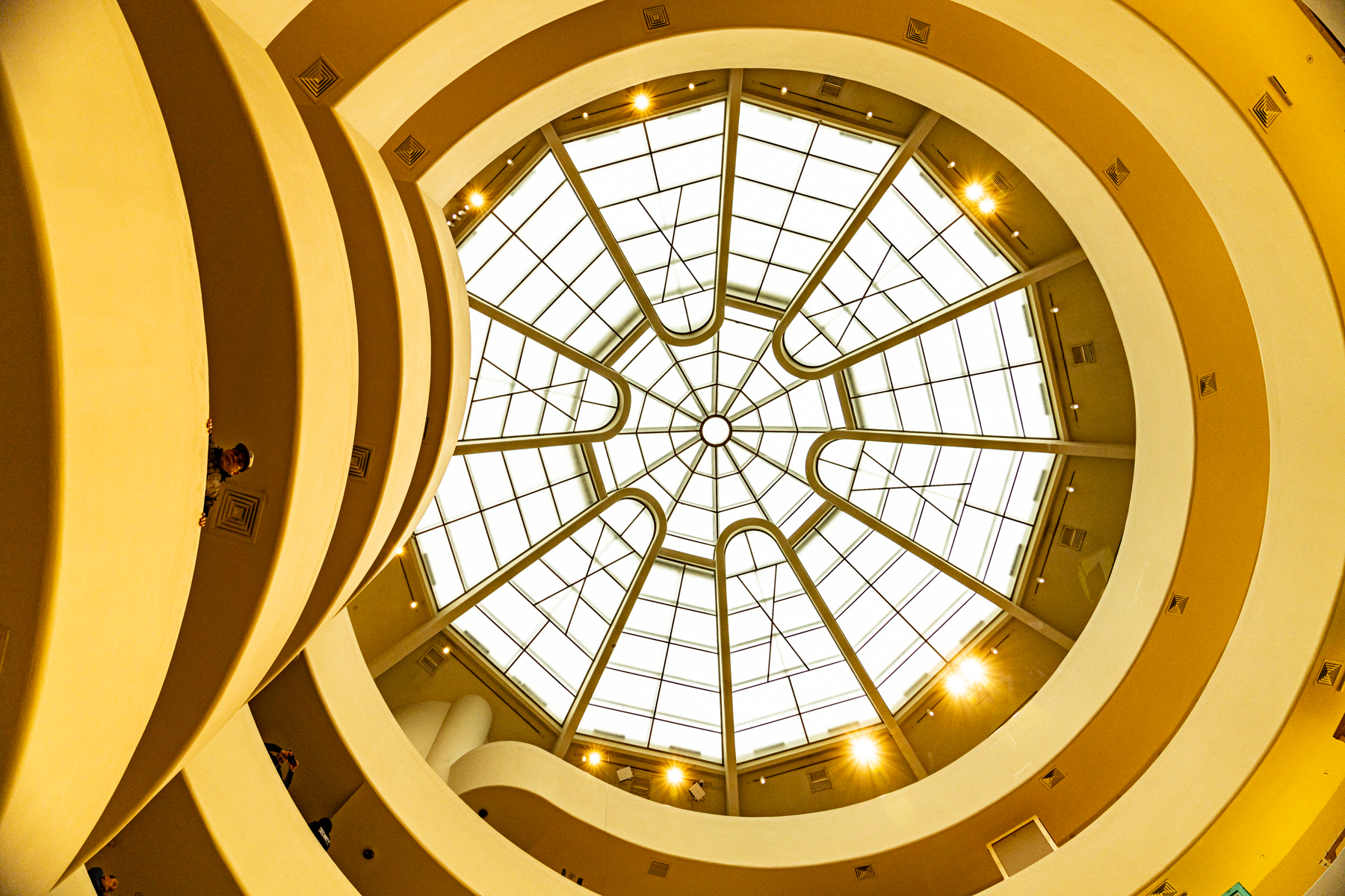 Looking up to the ceiling in the spiral of the Guggenheim Museum.