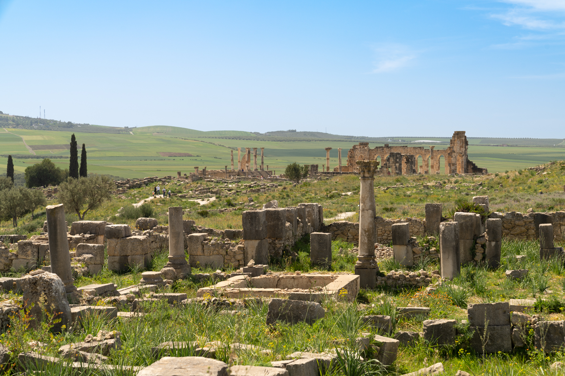 Volubilis.