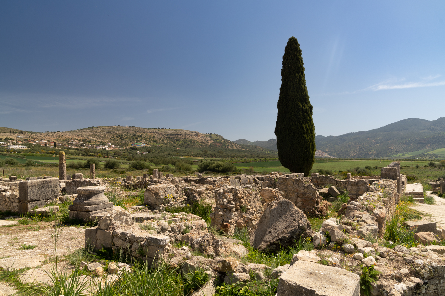Volubilis.