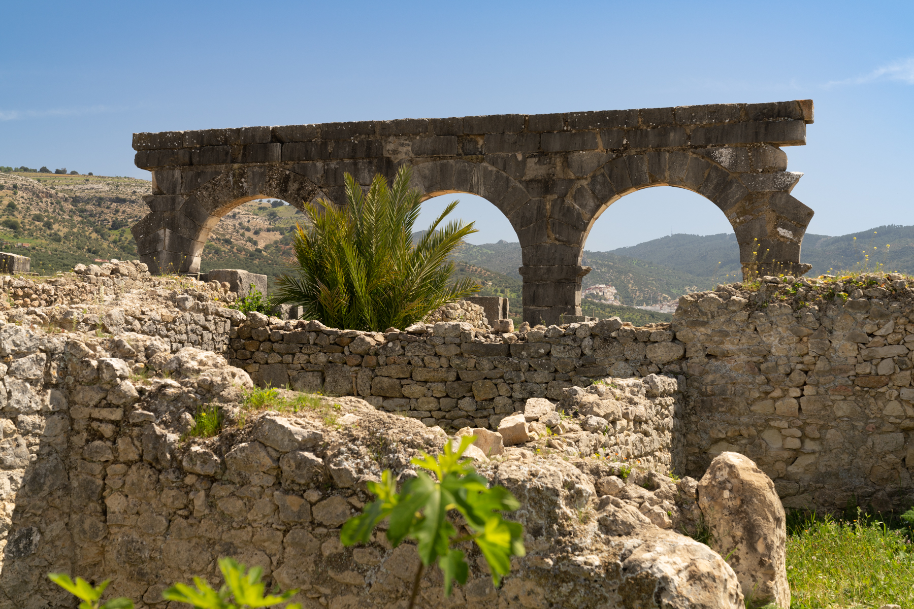 Volubilis.