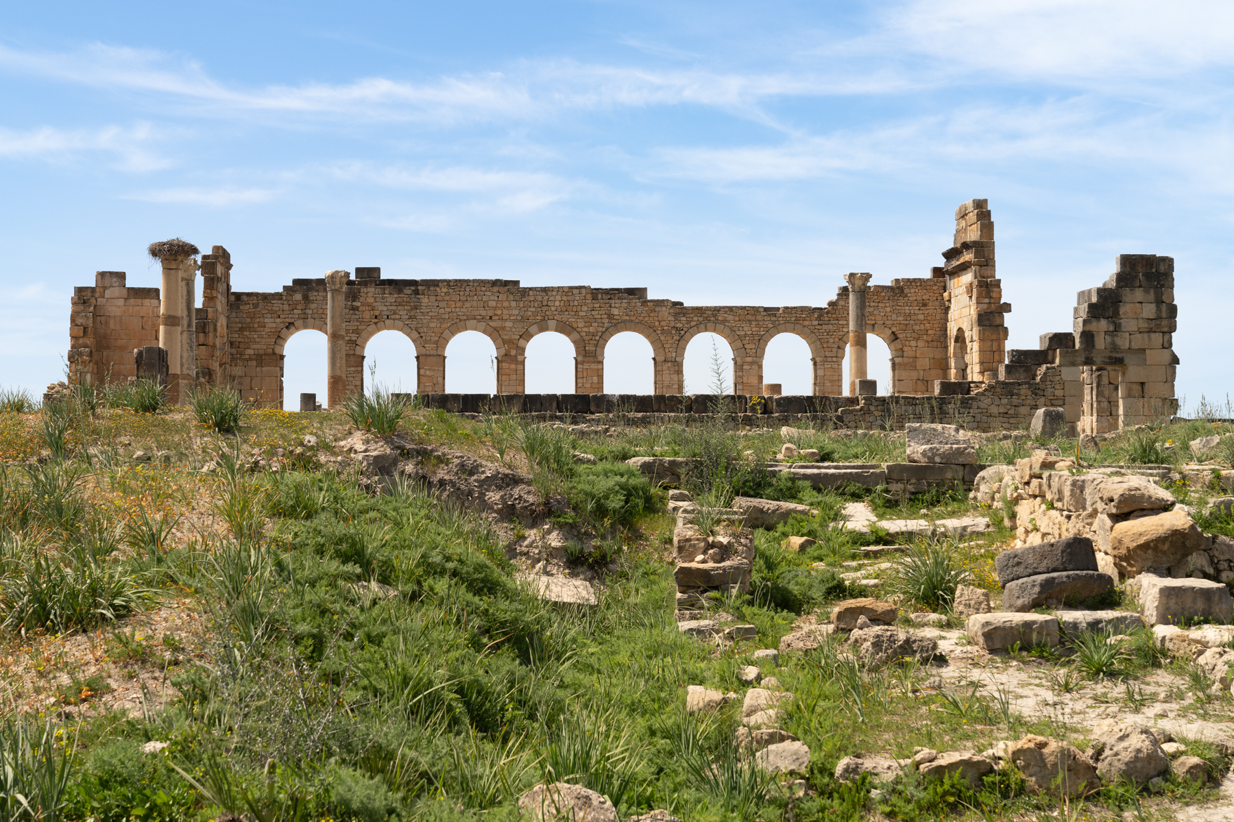 Volubilis.