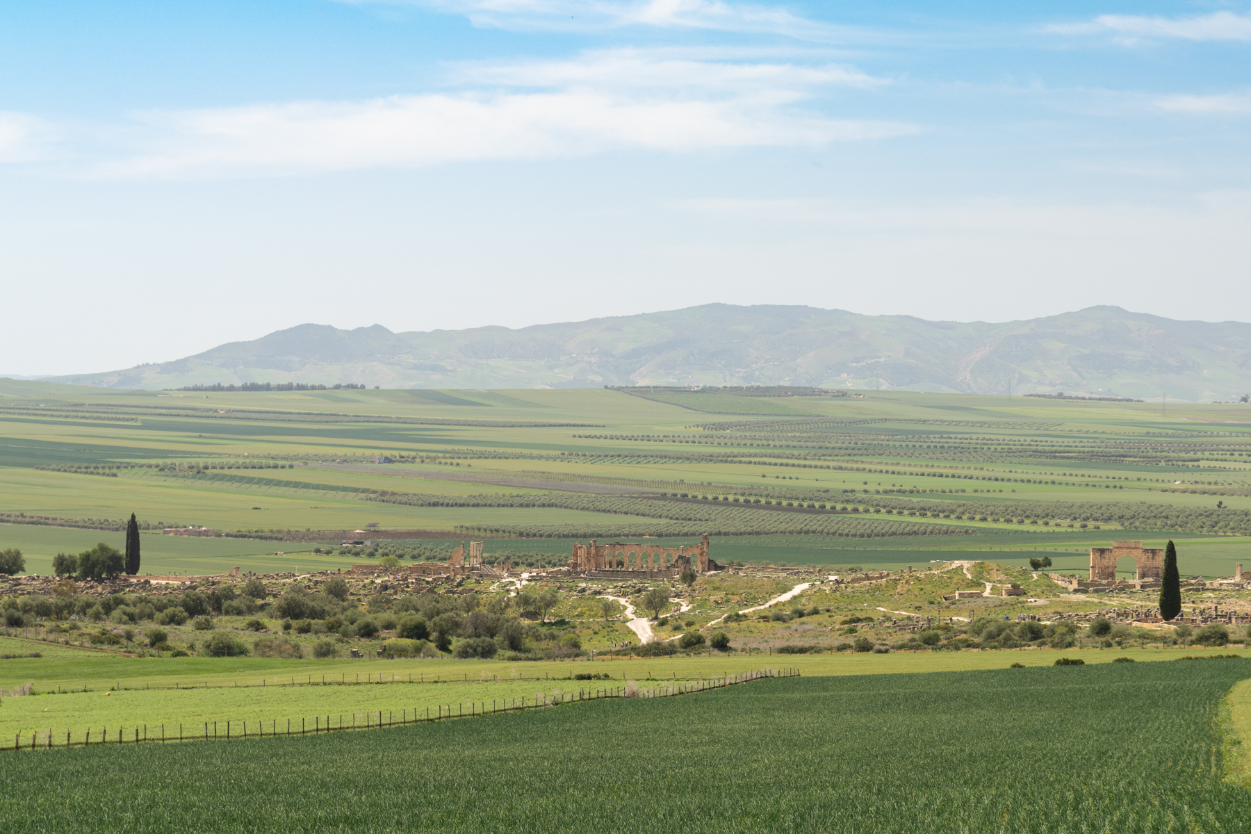 Volubilis (viewed from road).