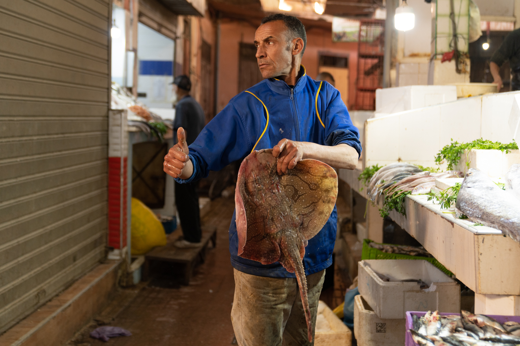 In the fish market.