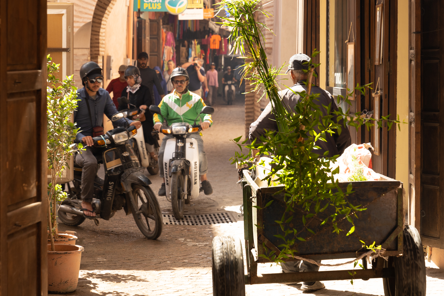 Local traffic in the medina