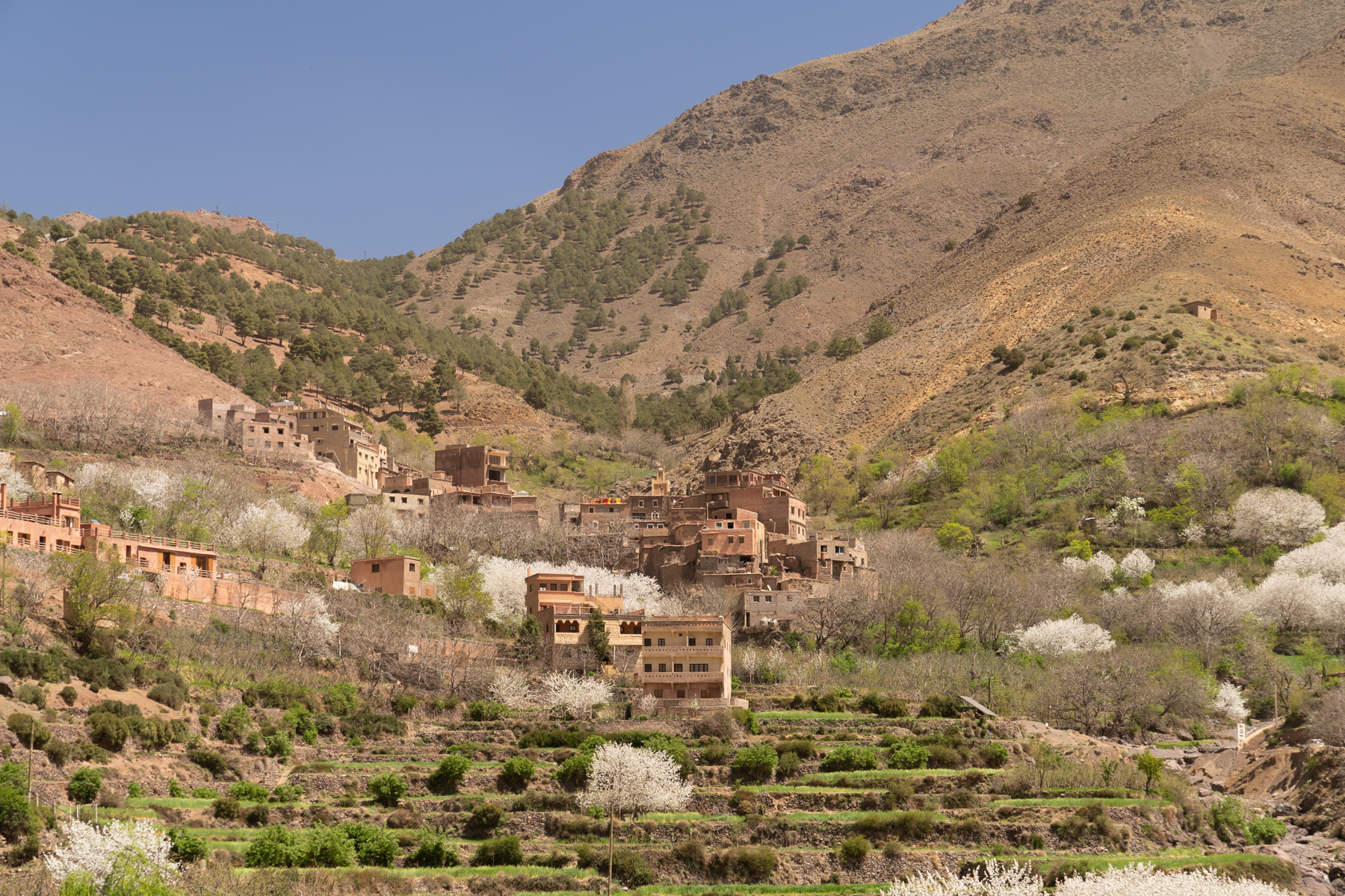 Houses in Imlil with terraced crops below.