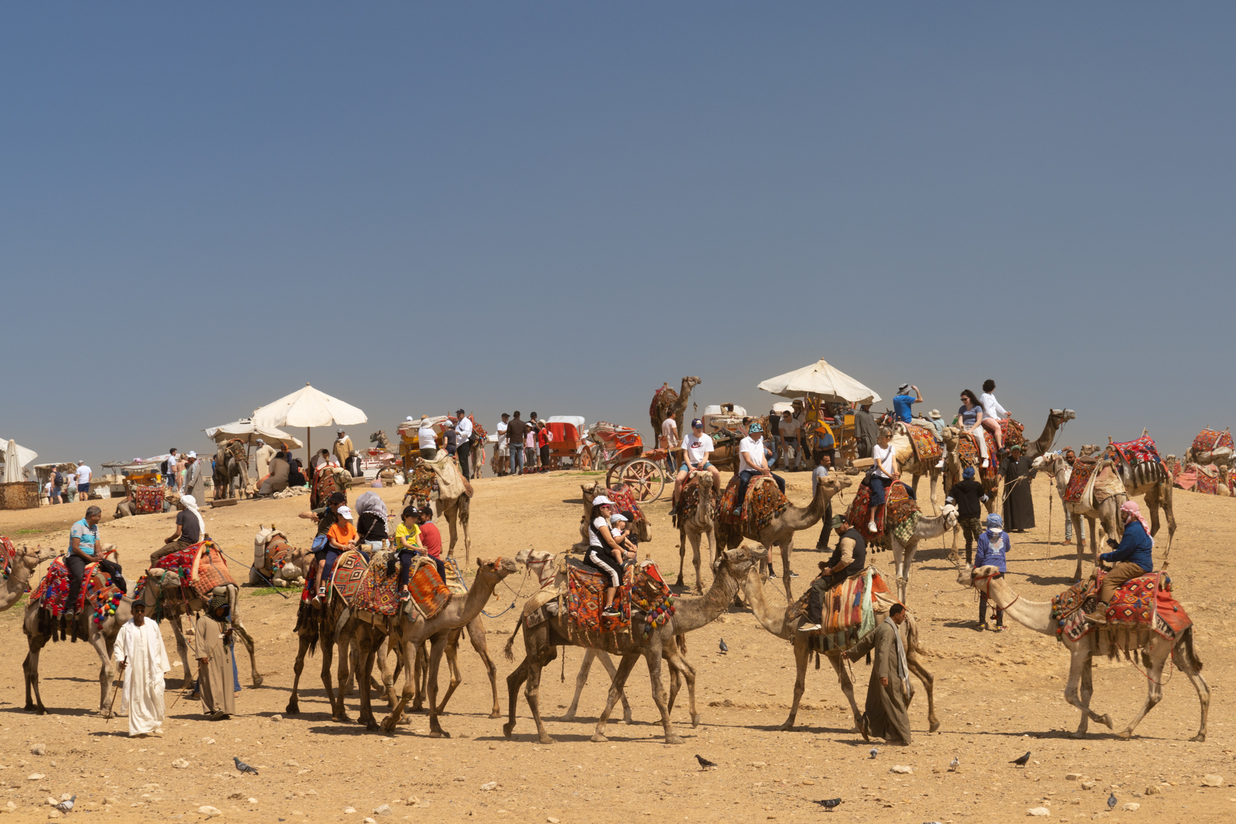 There were a lot of people and a lot of camels!