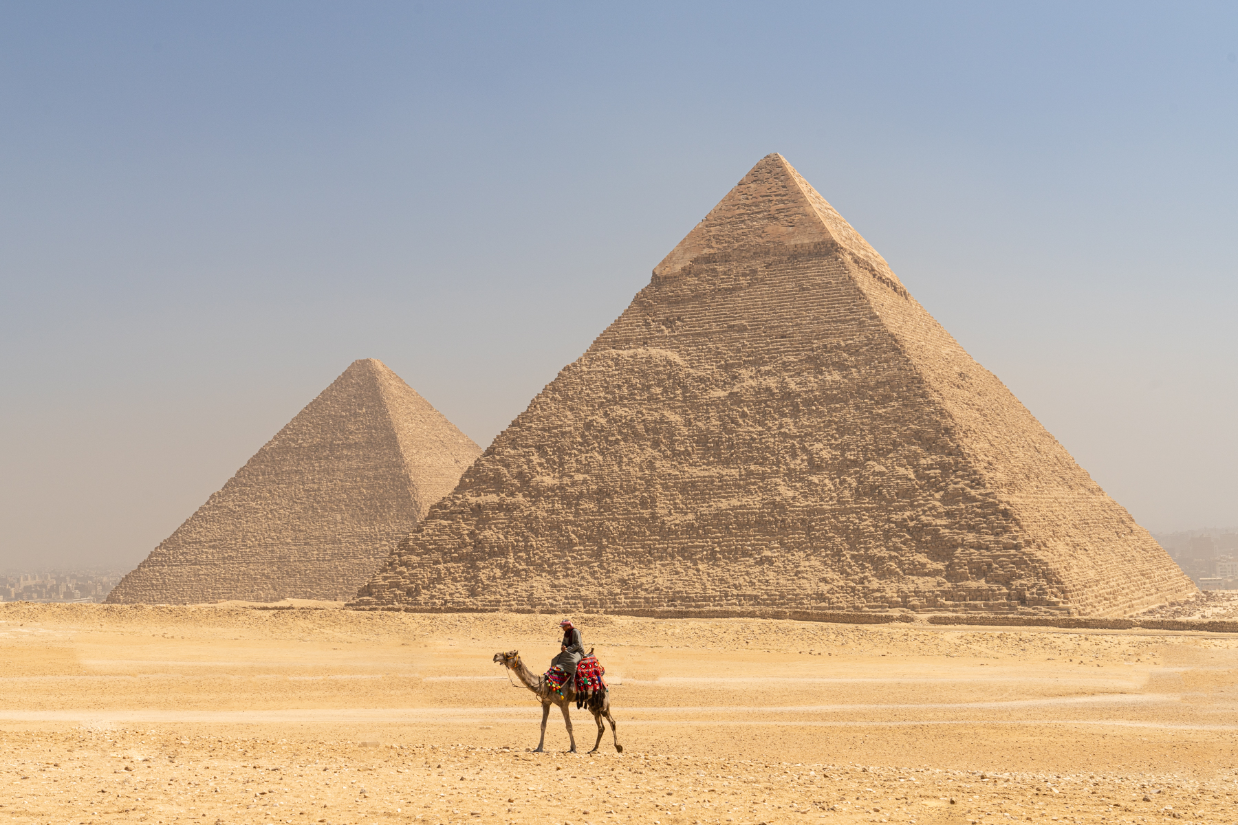 Camel and rider in the Western Desert going past the Pyramid of Khafre.