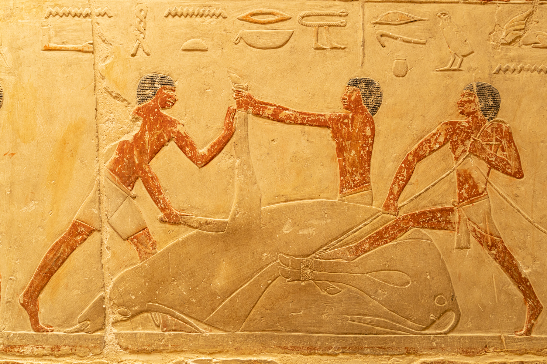 Artwork in the tomb of Seshseshet Idut.