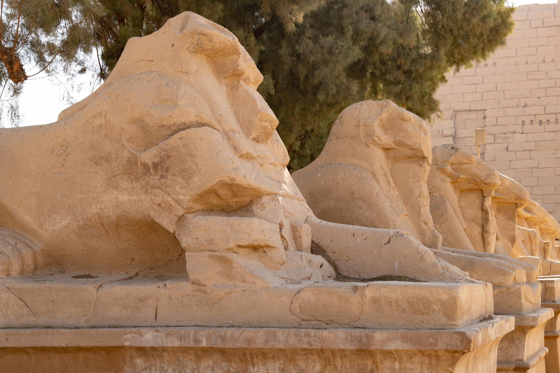 Sphinxes at the entrance to the Great Hypostyle Hall.