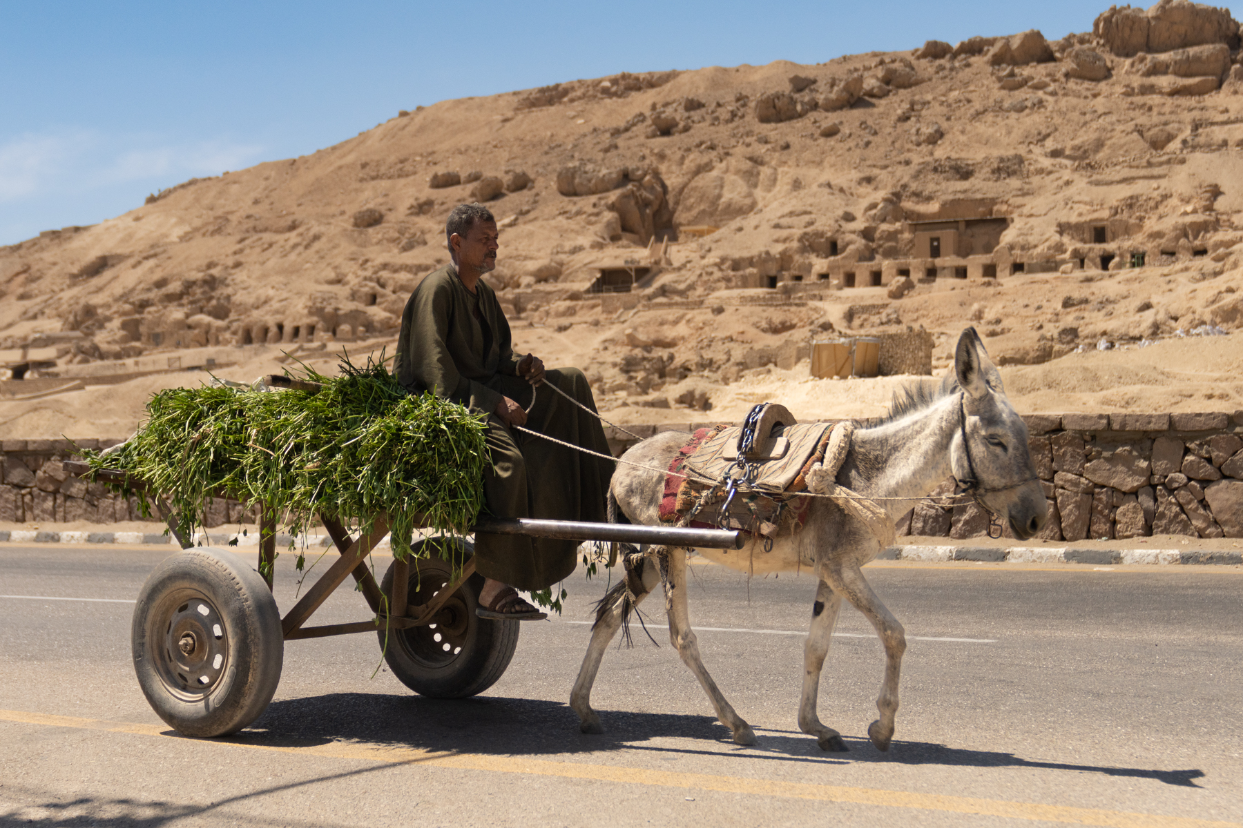 Another local donkey.