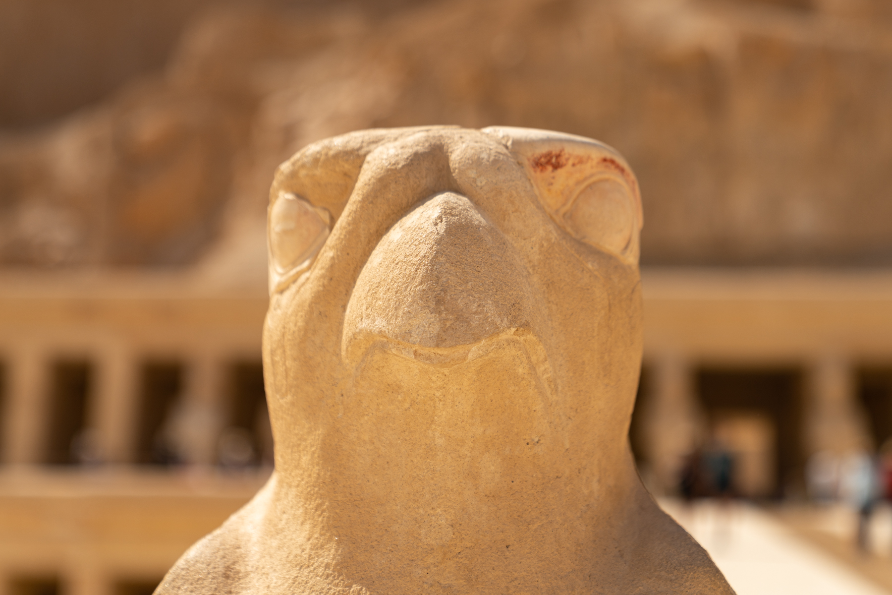 Falcon statue at the Temple of Hatshepsut.