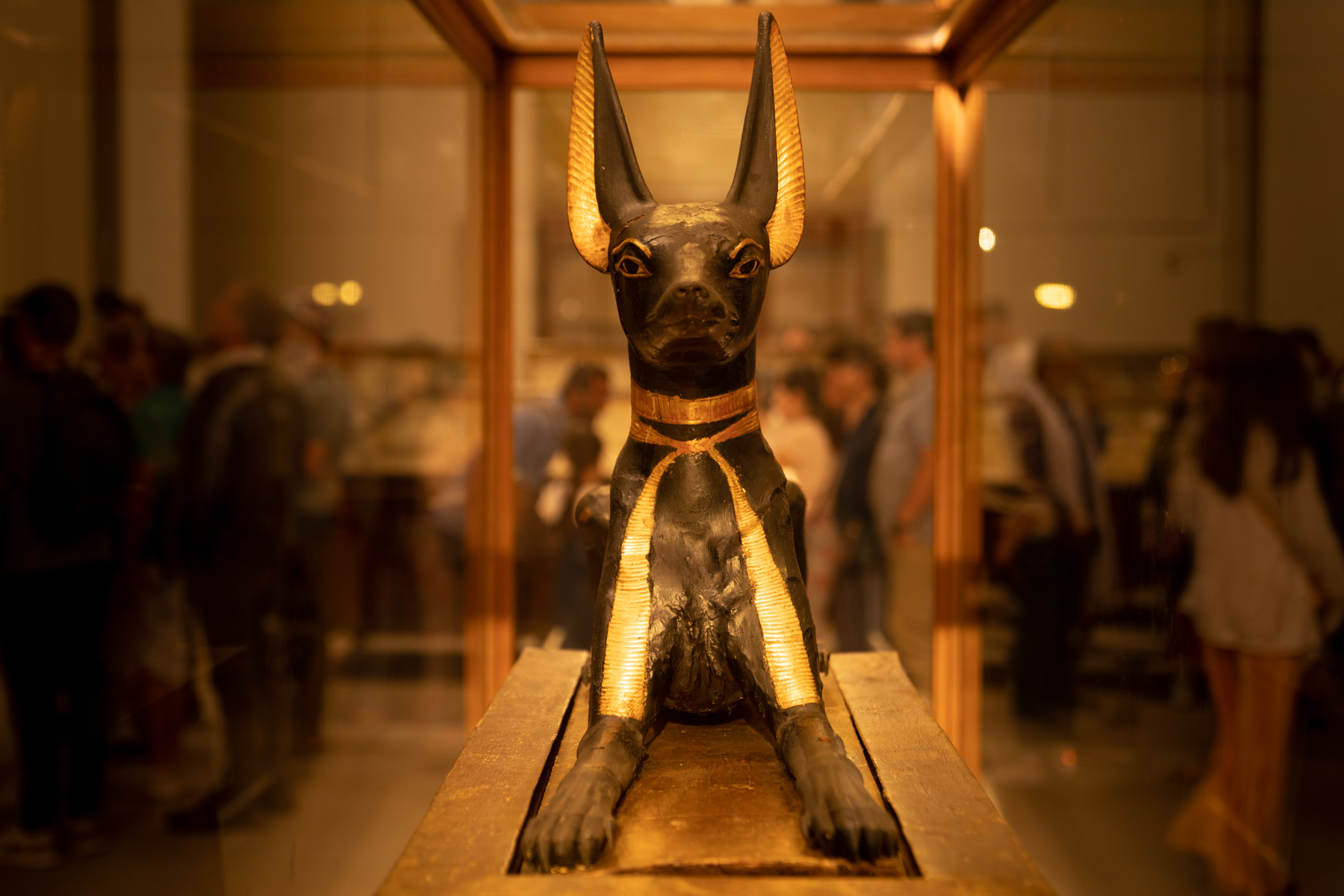 Anubis, god of the dead.