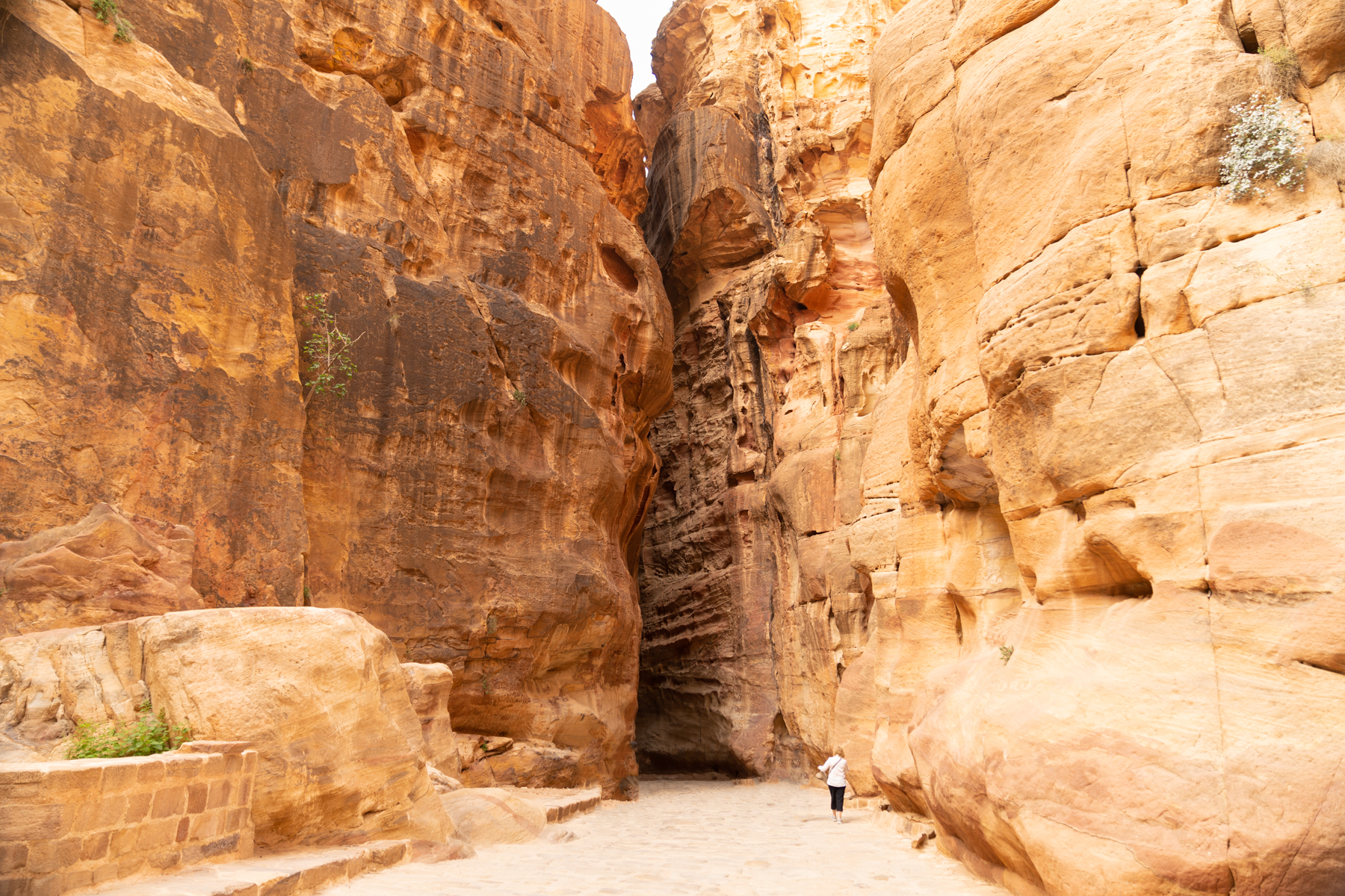 Andrea walking in between the very tall walls of the Siq.