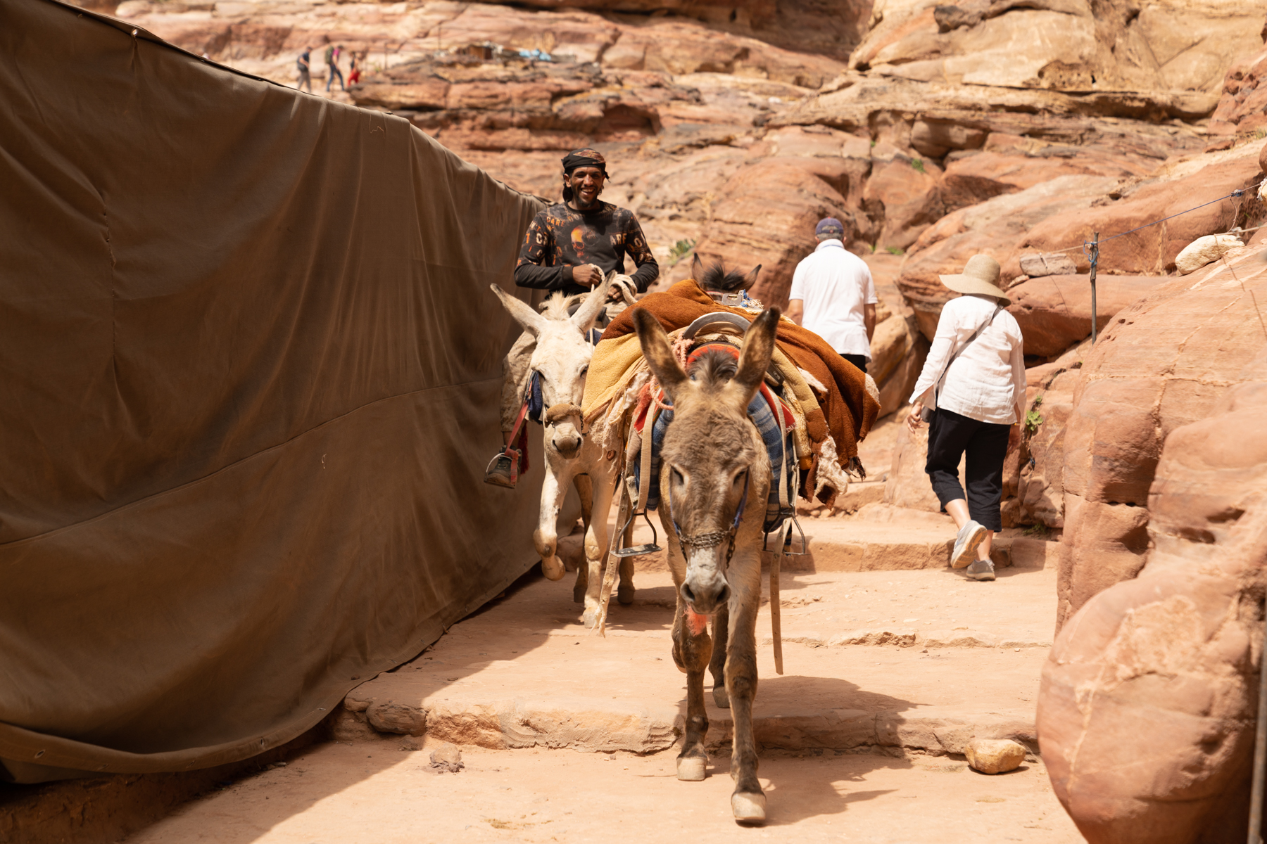 Donkeys and rider passing Daoud and Andrea on the path to Ad-Deir.