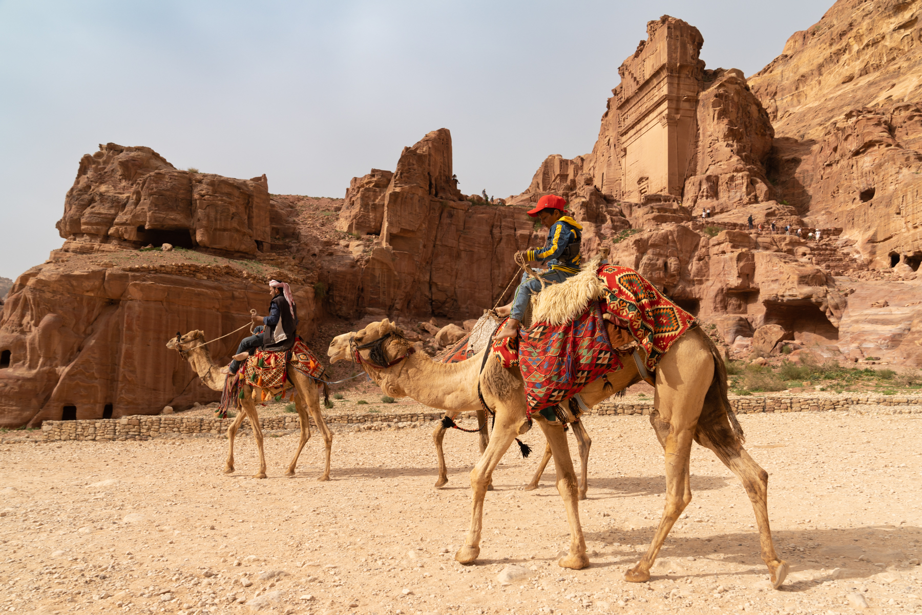 A young boy riding a camel.
