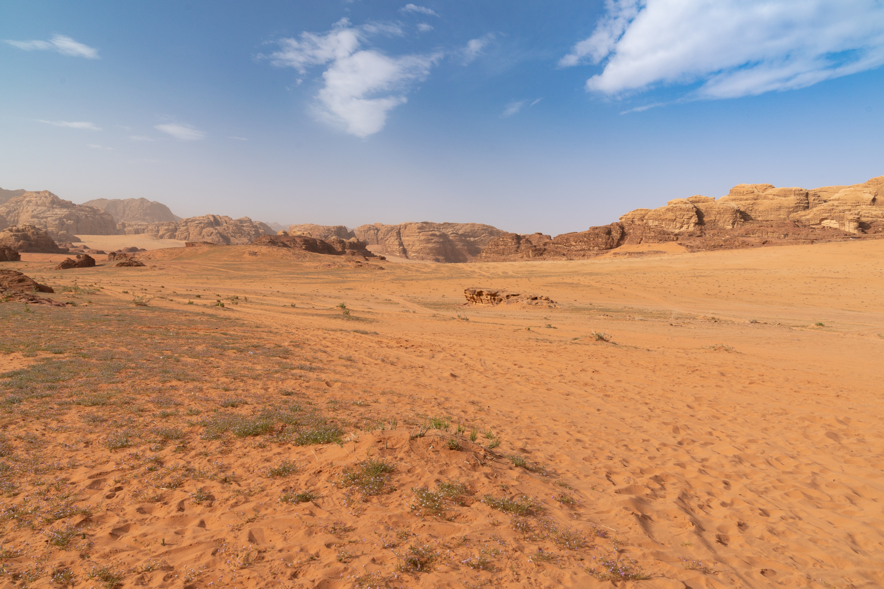 A view over the Wadi Rum Desert from breakfast.