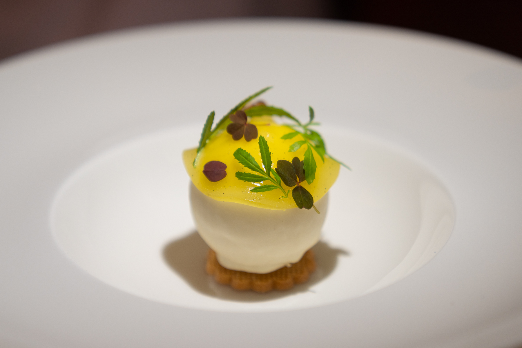 Forced Yorkshire rhubarb with Piqual olive oil and vanilla.